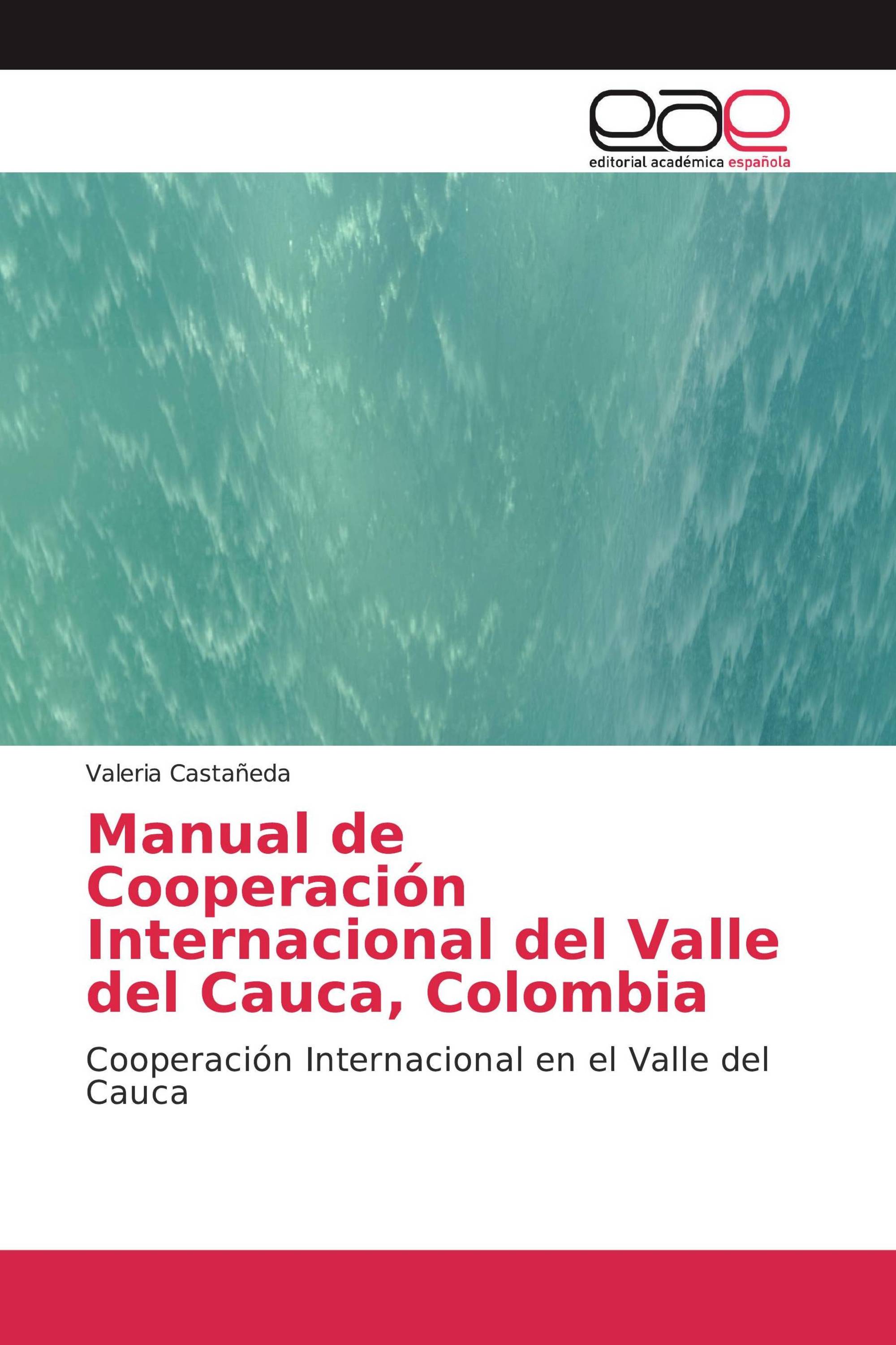 Manual de Cooperación Internacional del Valle del Cauca, Colombia