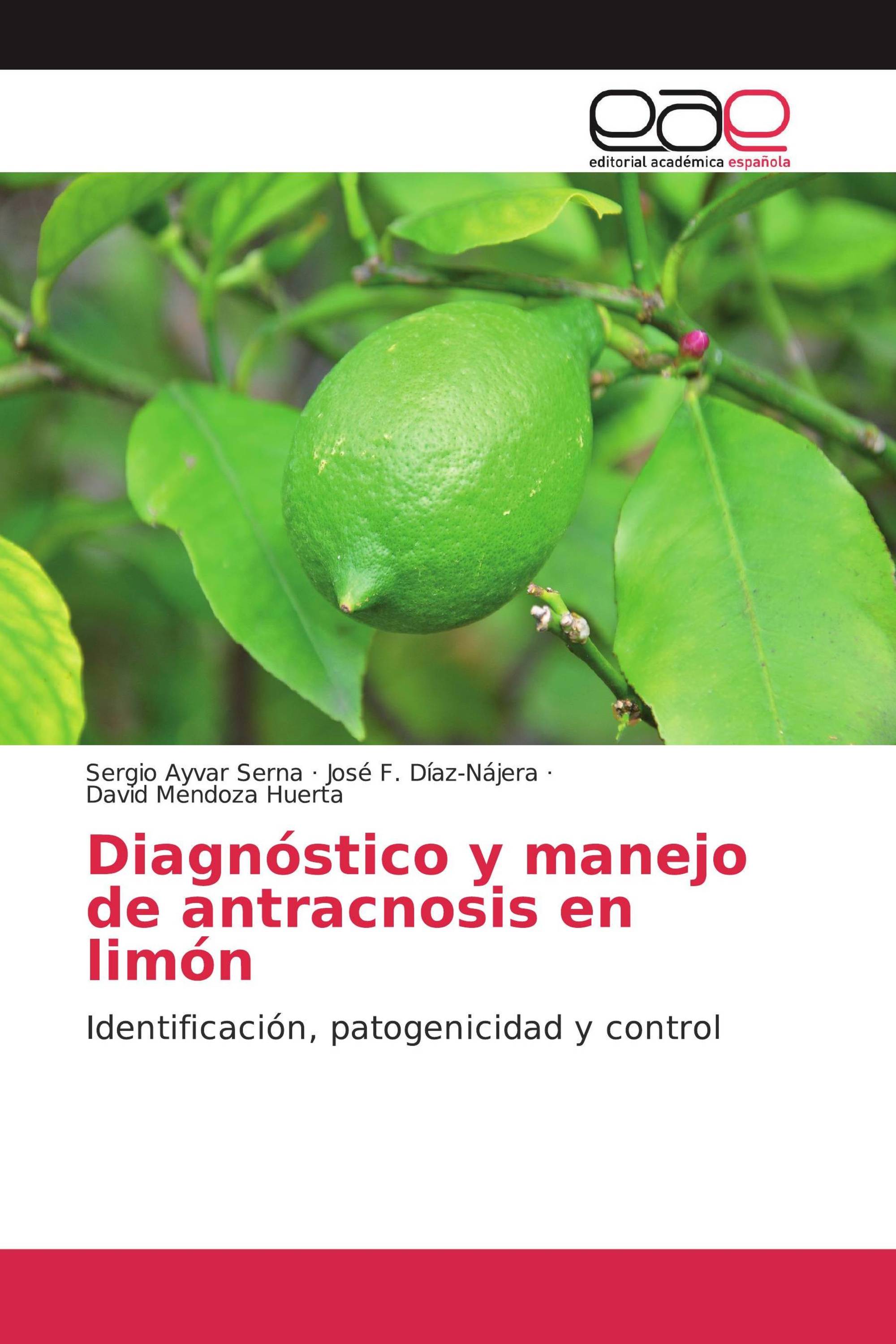 Diagnóstico y manejo de antracnosis en limón