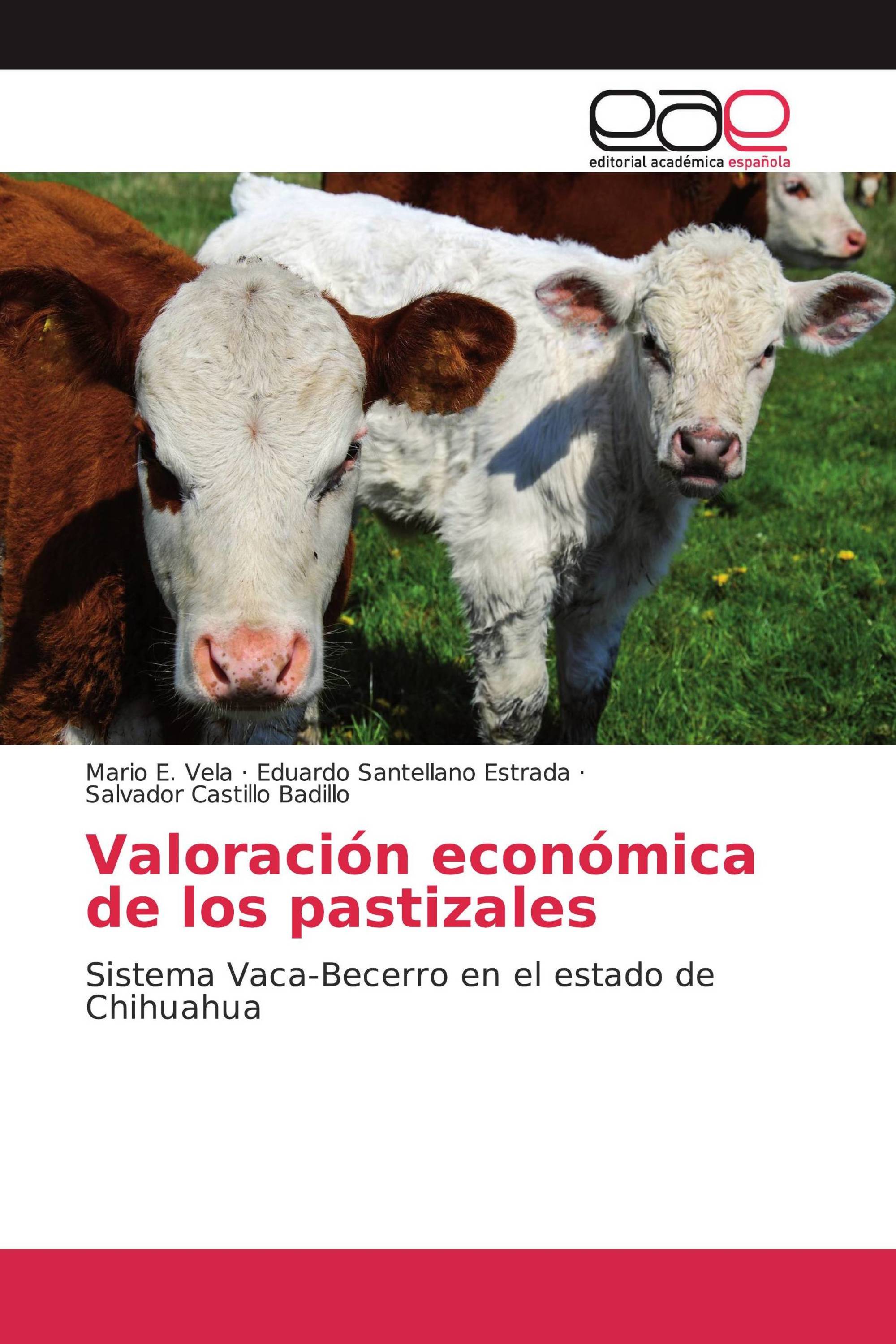 Valoración económica de los pastizales