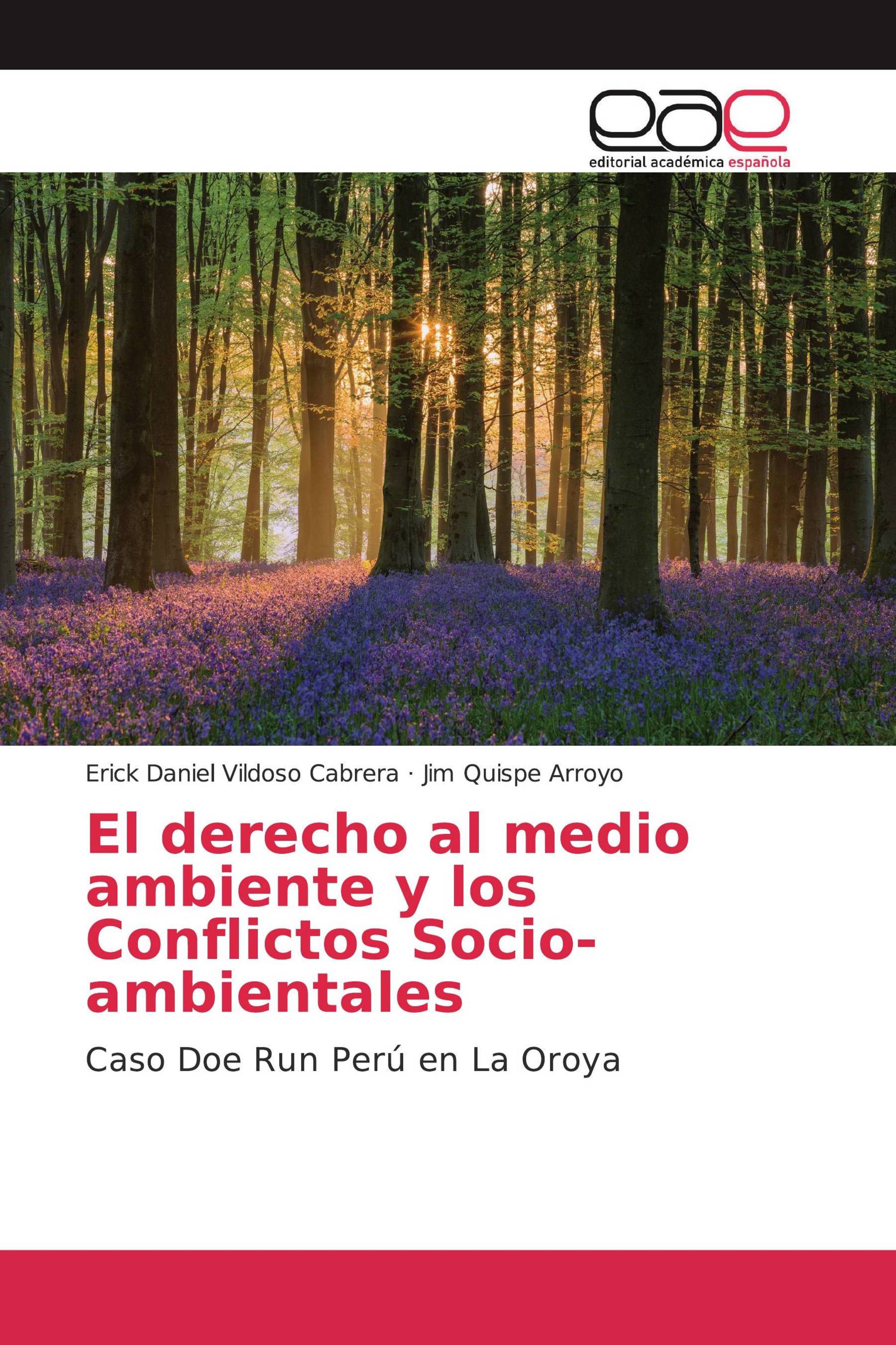 El derecho al medio ambiente y los Conflictos Socio-ambientales