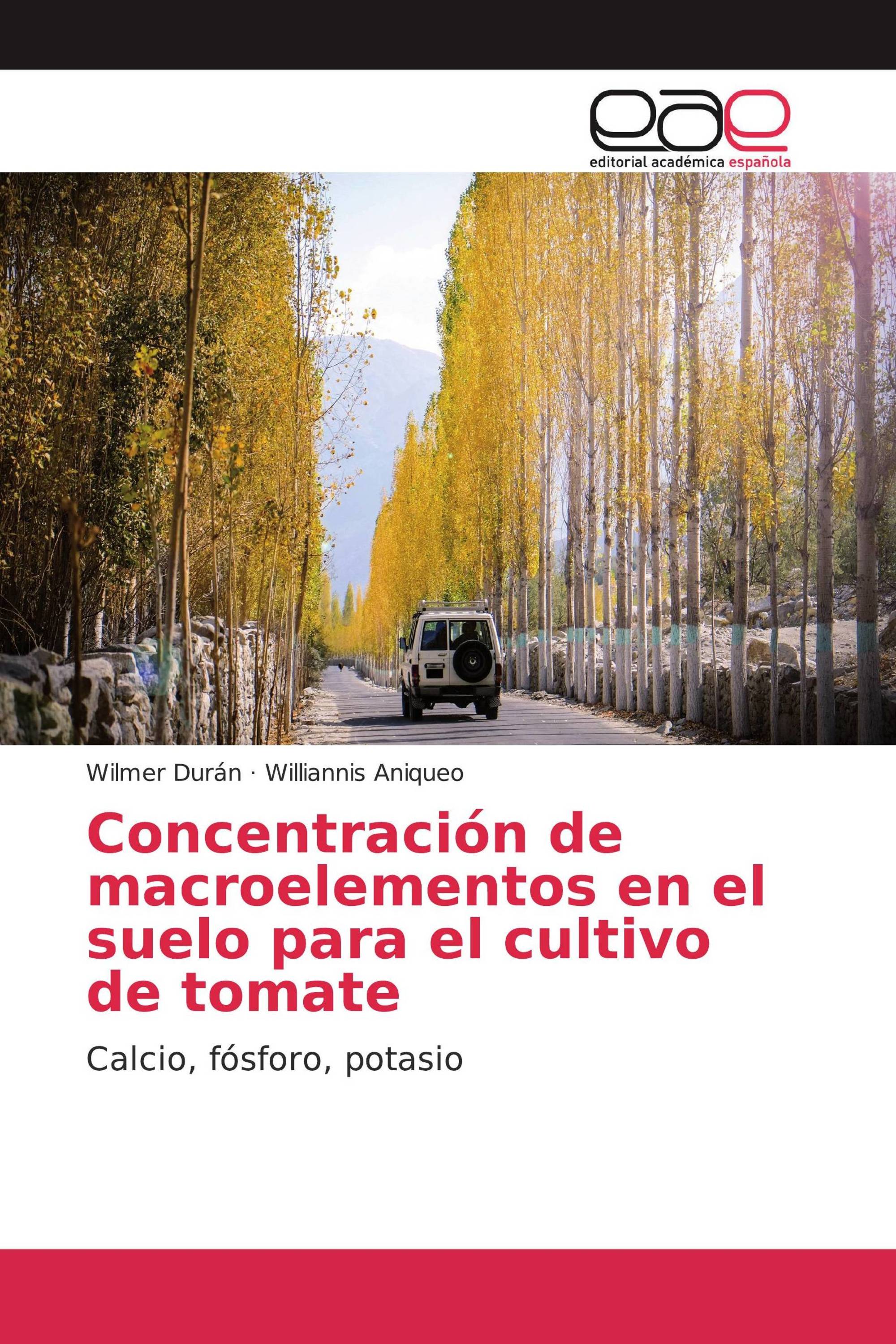 Concentración de macroelementos en el suelo para el cultivo de tomate