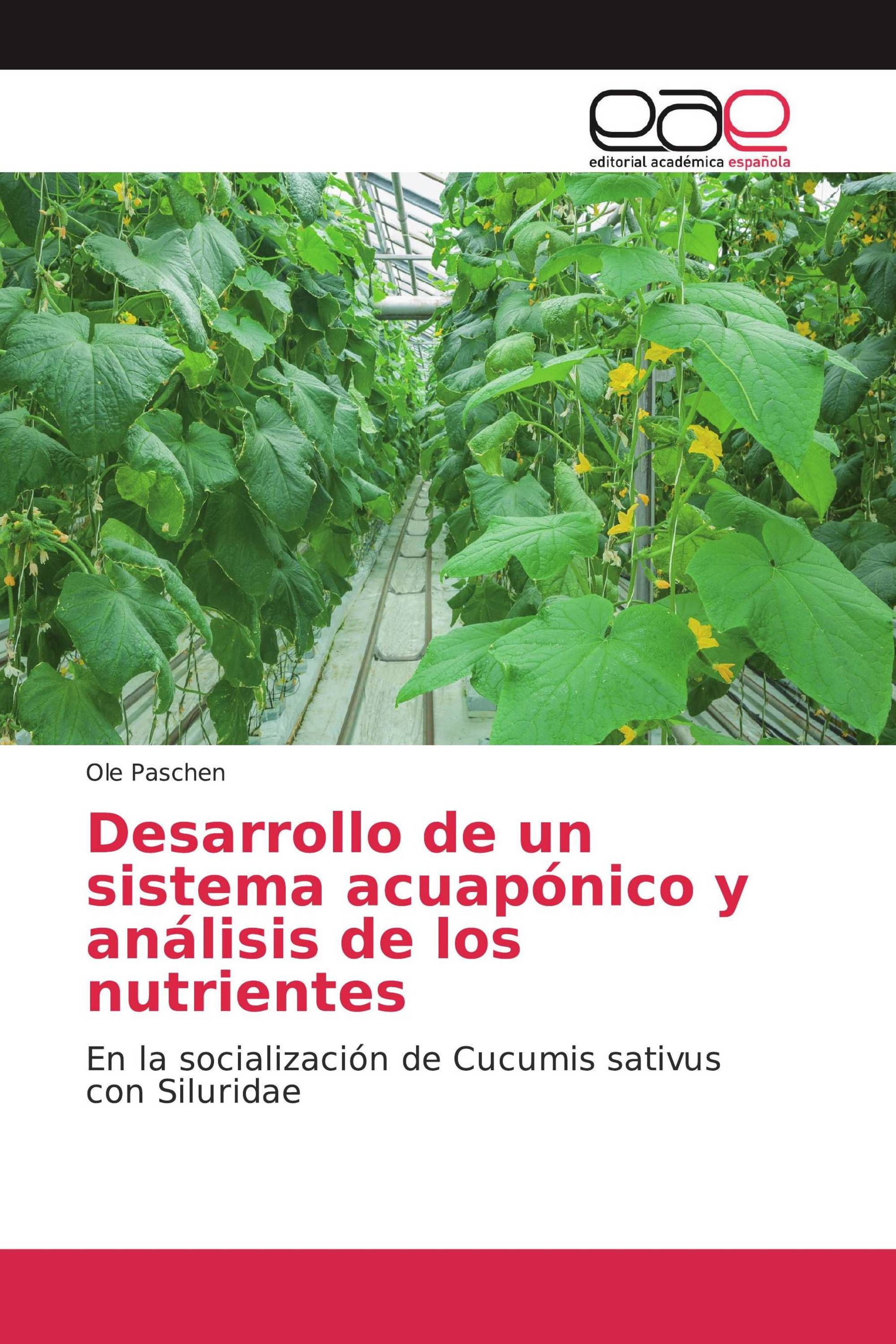 Desarrollo de un sistema acuapónico y análisis de los nutrientes