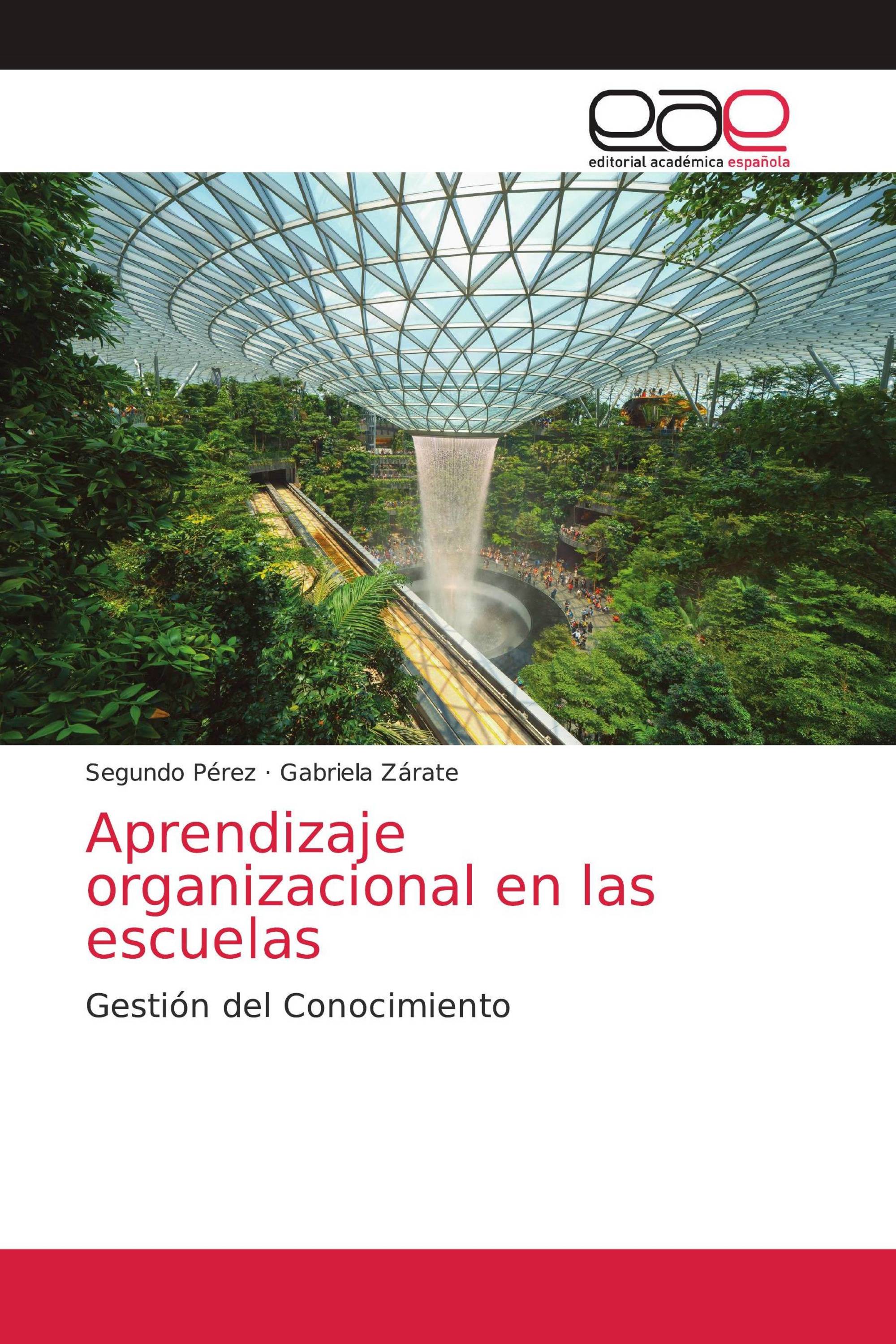 Aprendizaje organizacional en las escuelas