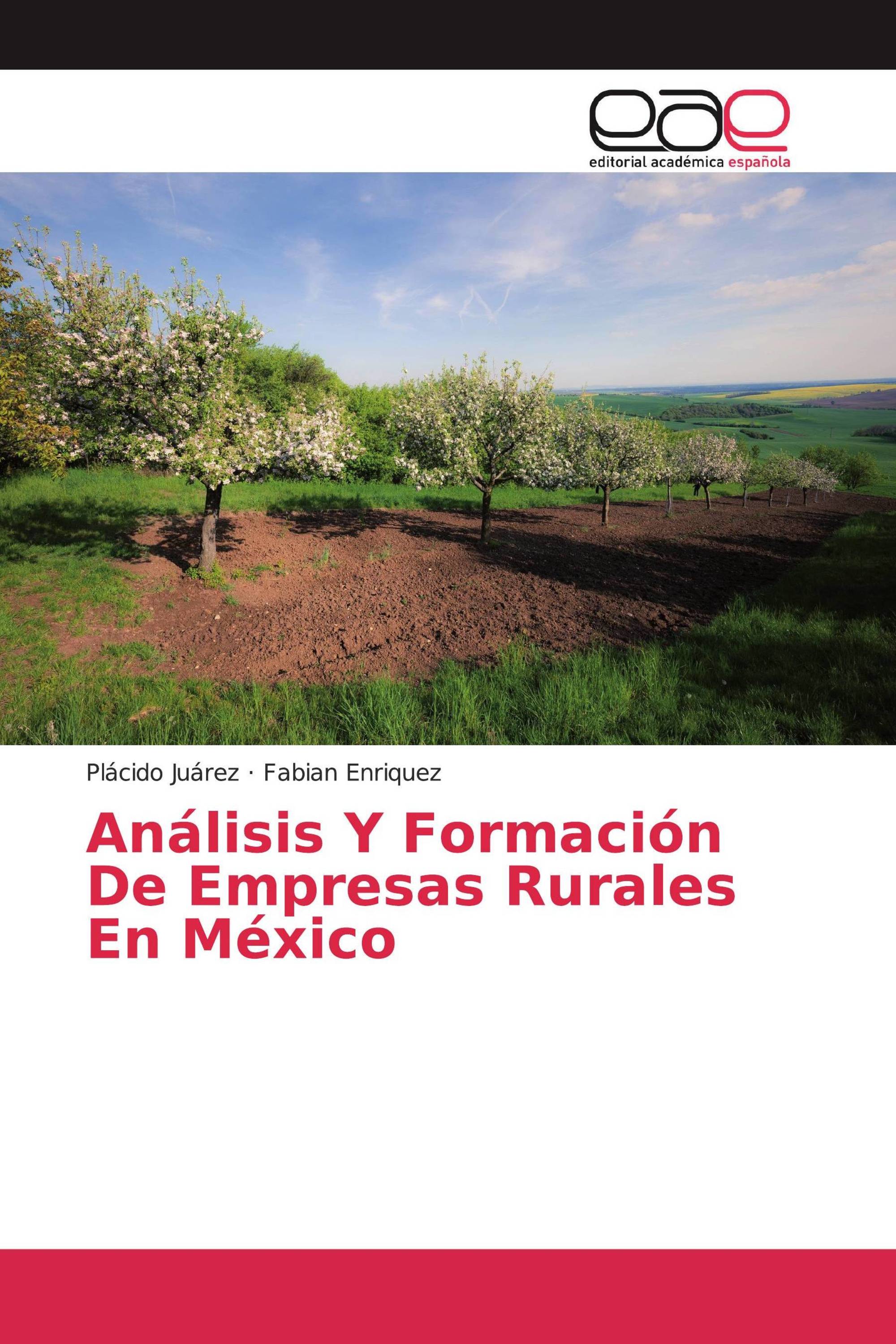 Análisis Y Formación De Empresas Rurales En México