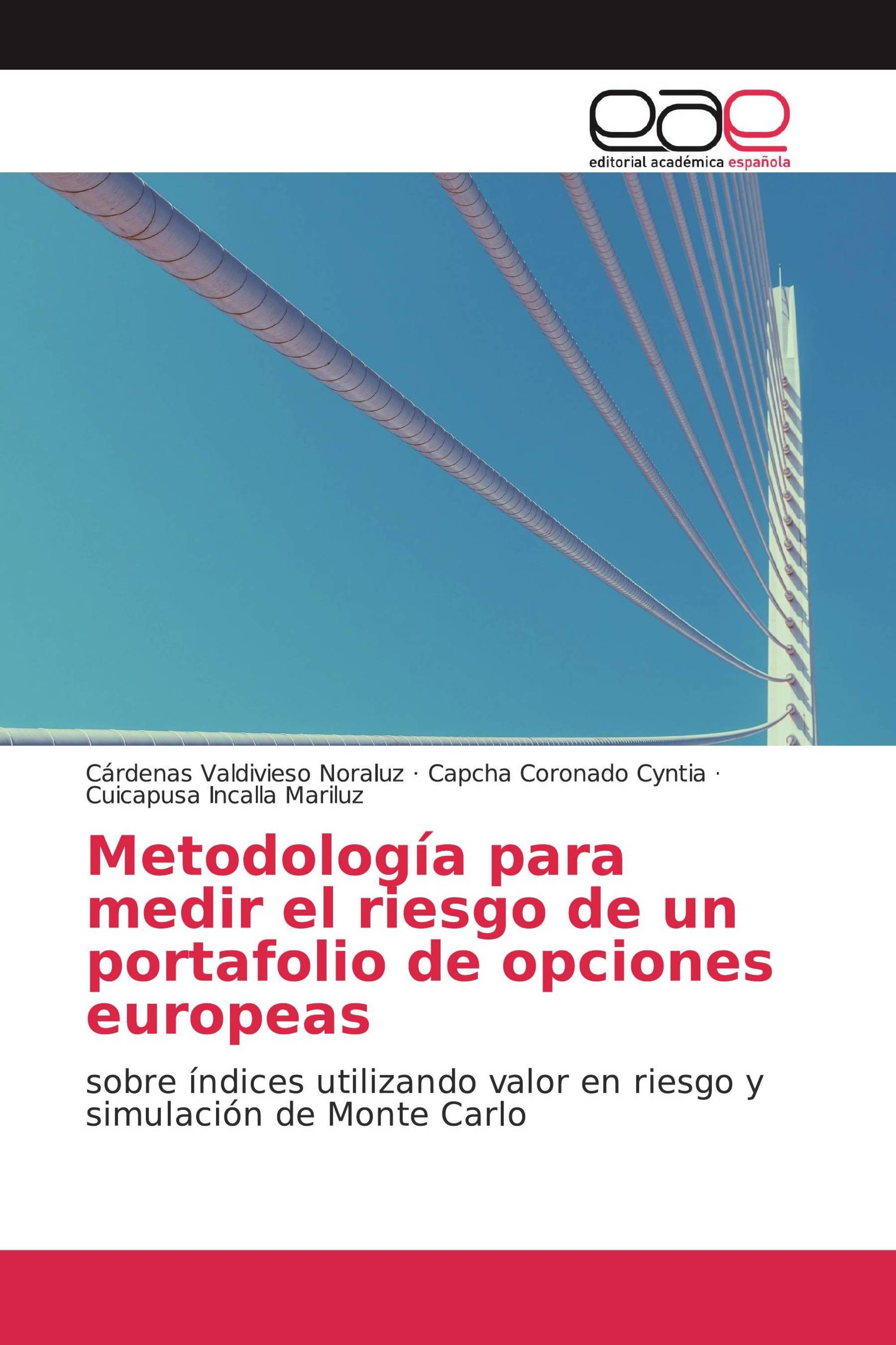 Metodología para medir el riesgo de un portafolio de opciones europeas