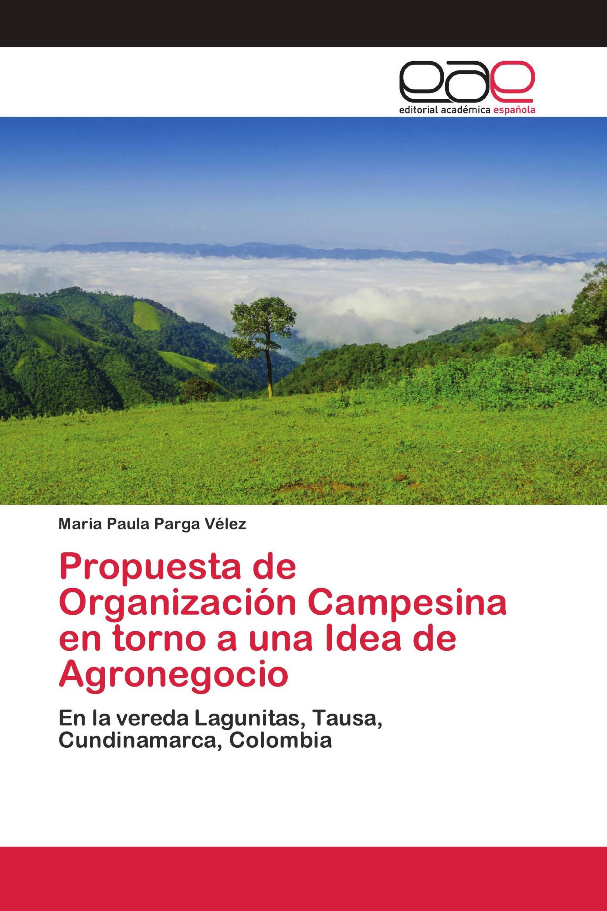 Propuesta de Organización Campesina en torno a una Idea de Agronegocio