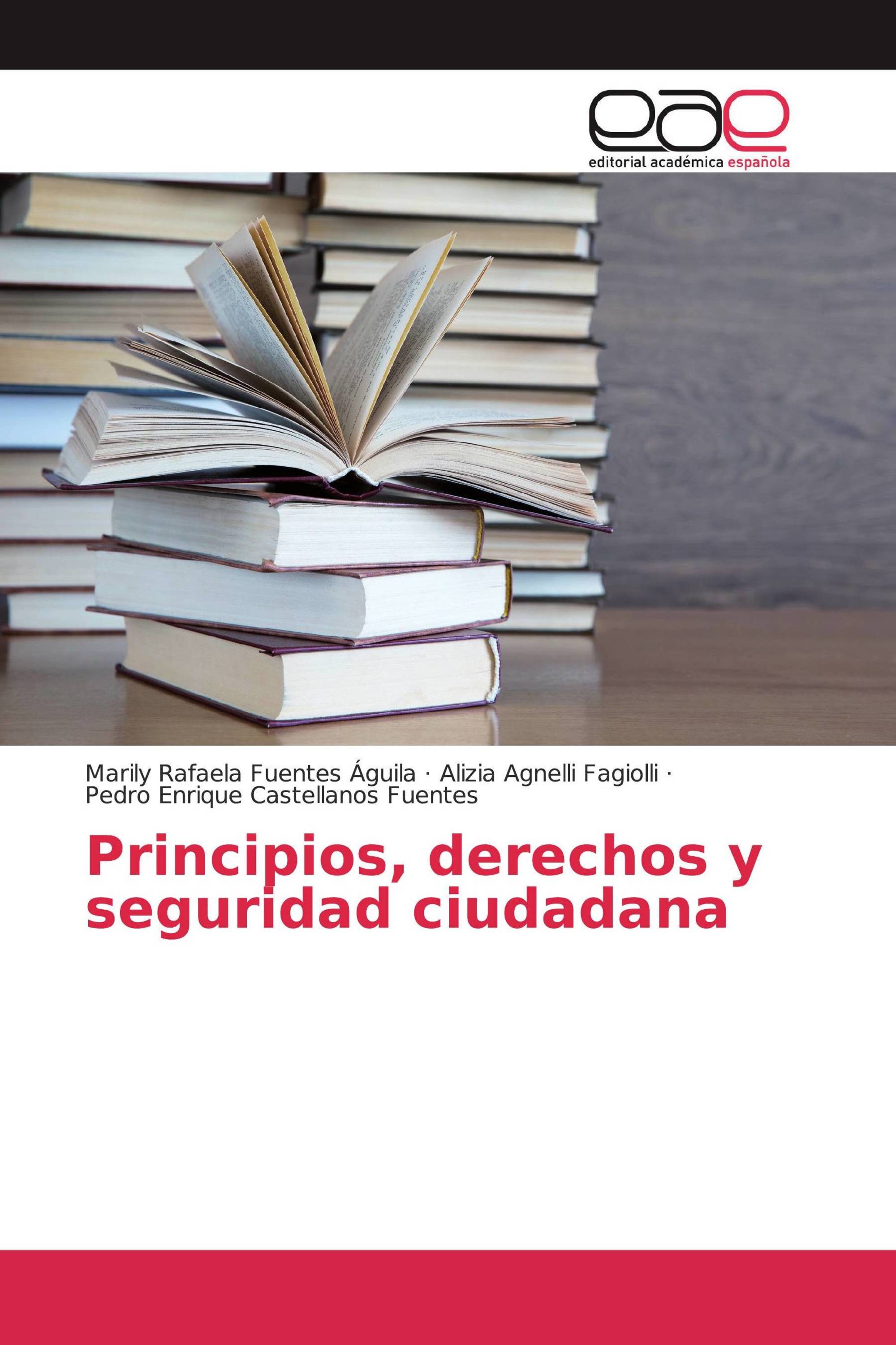 Principios, derechos y seguridad ciudadana