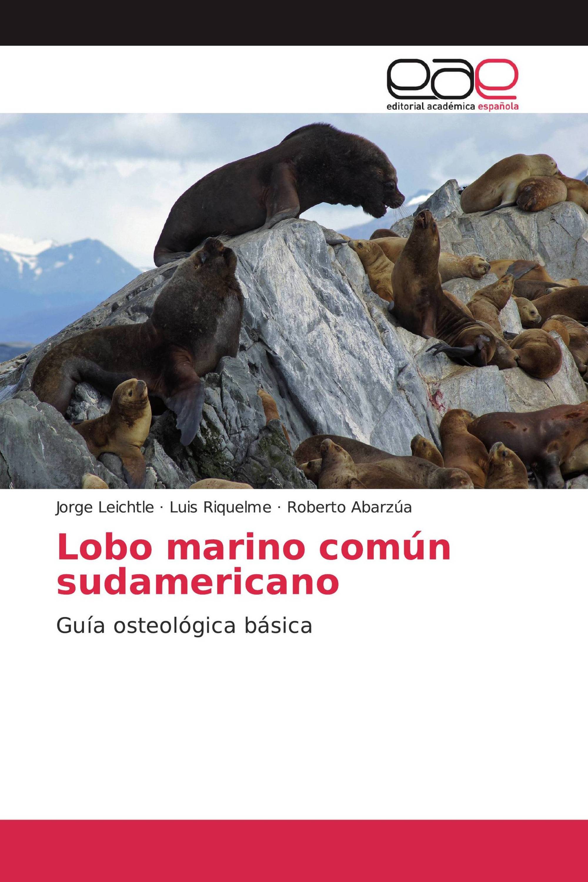 Lobo marino común sudamericano