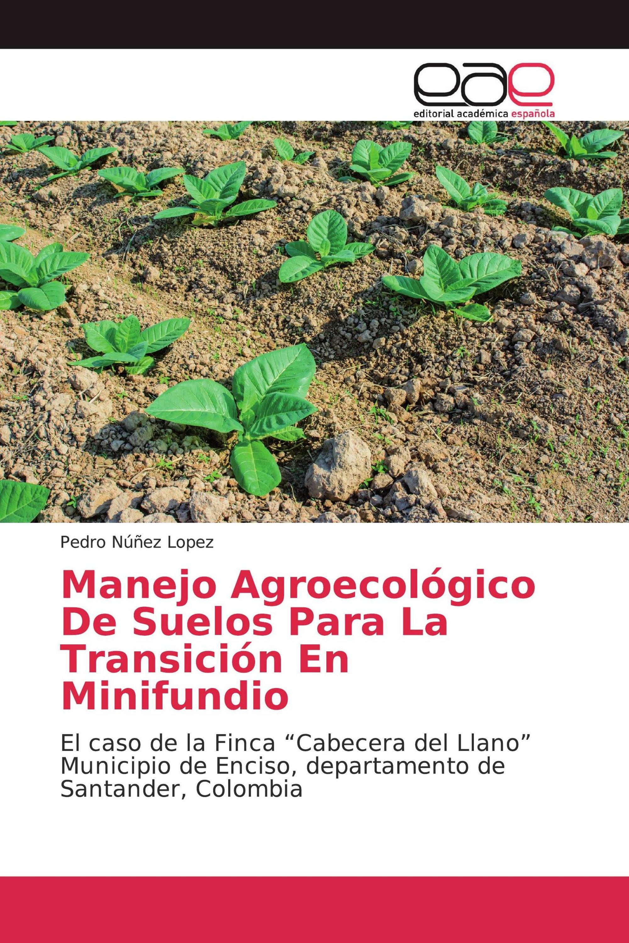 Manejo Agroecológico De Suelos Para La Transición En Minifundio