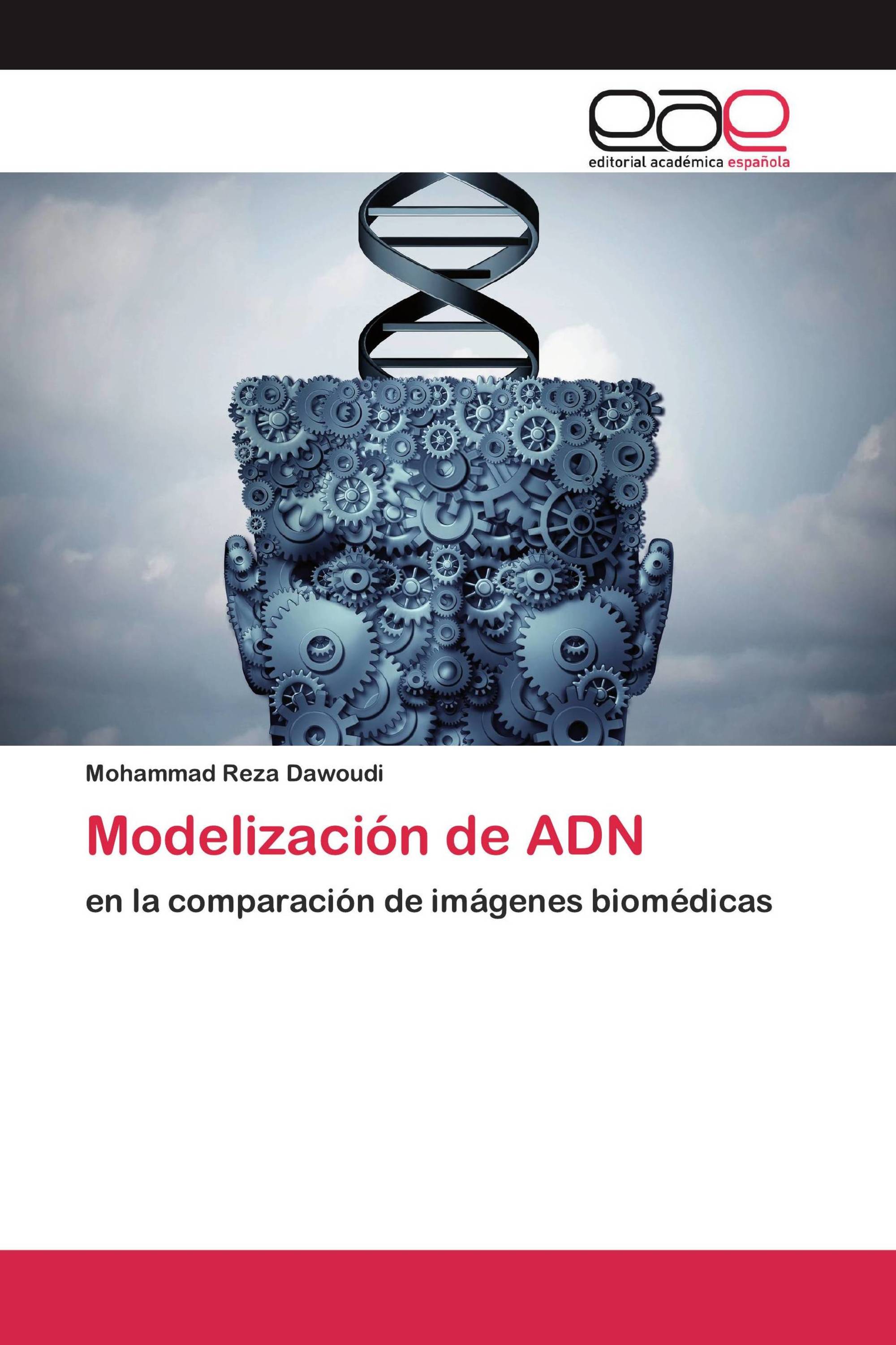 Modelización de ADN