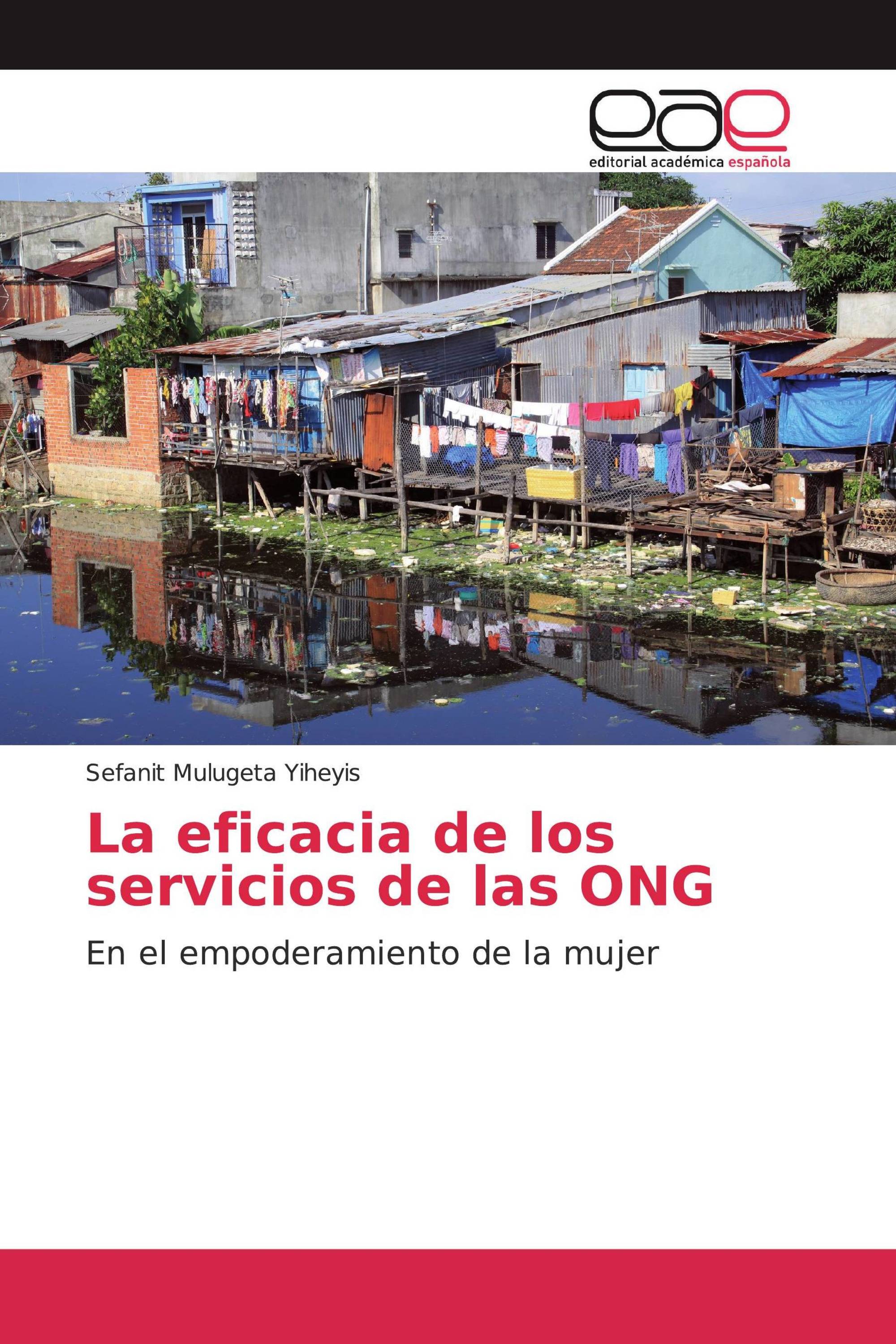 La eficacia de los servicios de las ONG