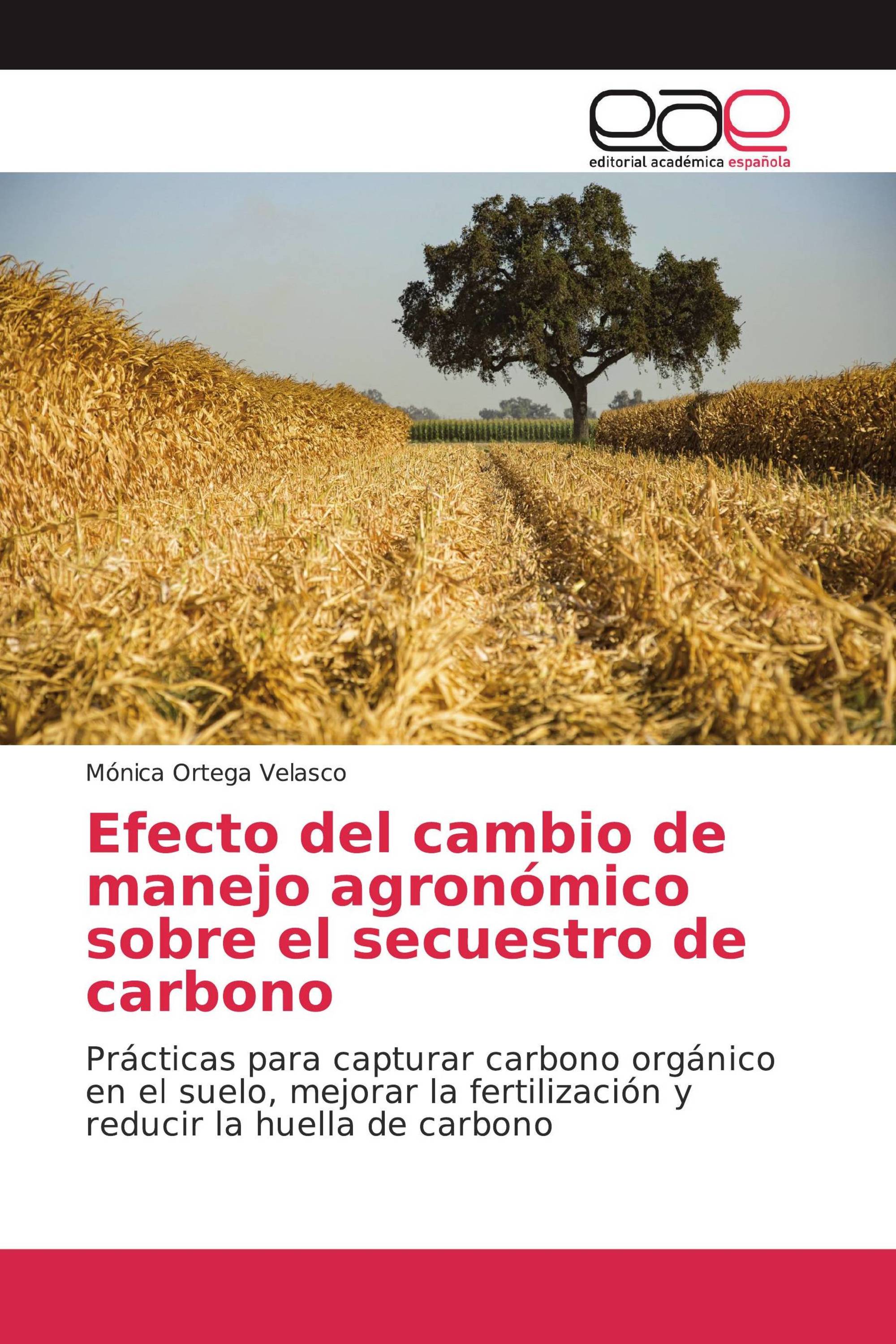 Efecto del cambio de manejo agronómico sobre el secuestro de carbono