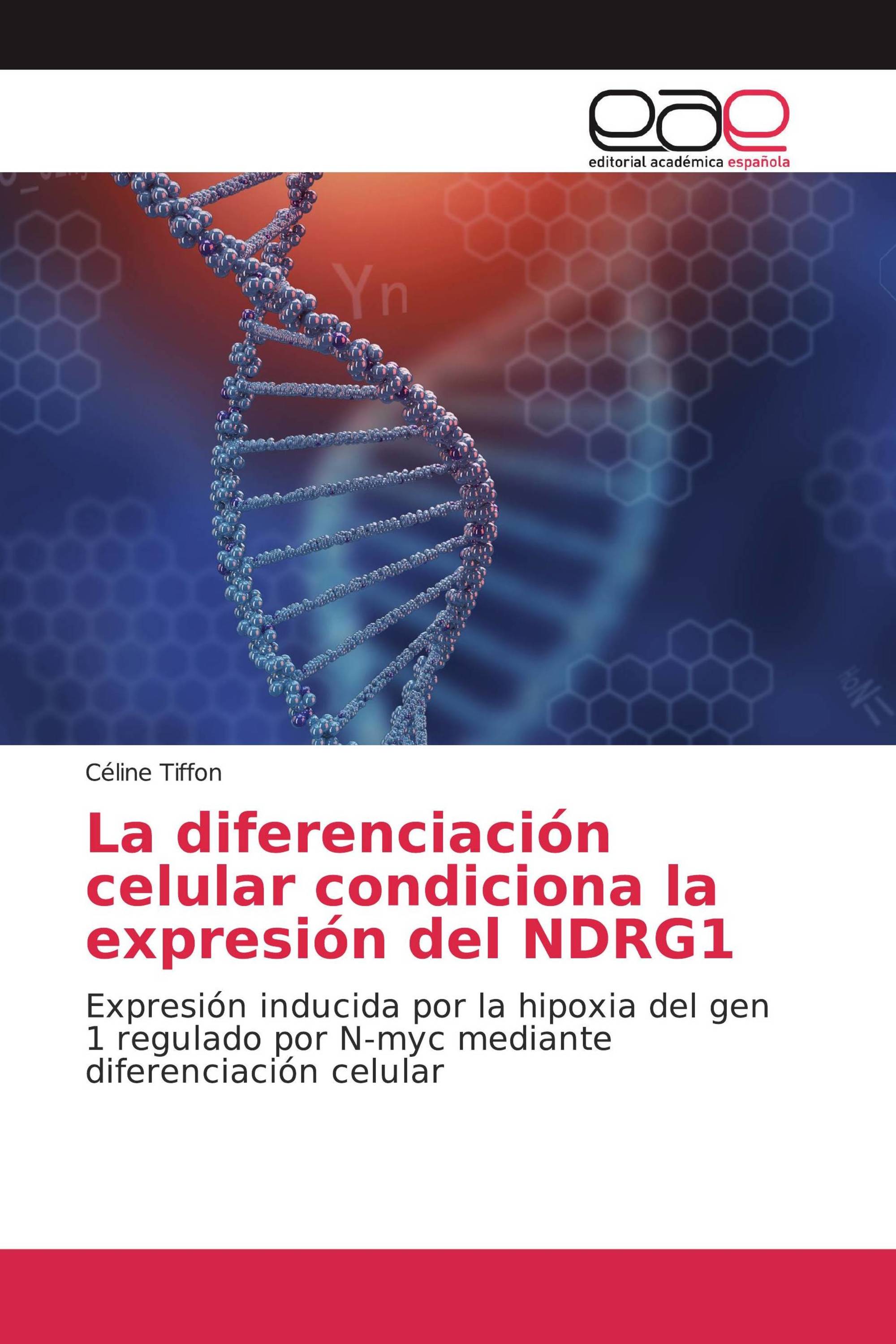 La diferenciación celular condiciona la expresión del NDRG1