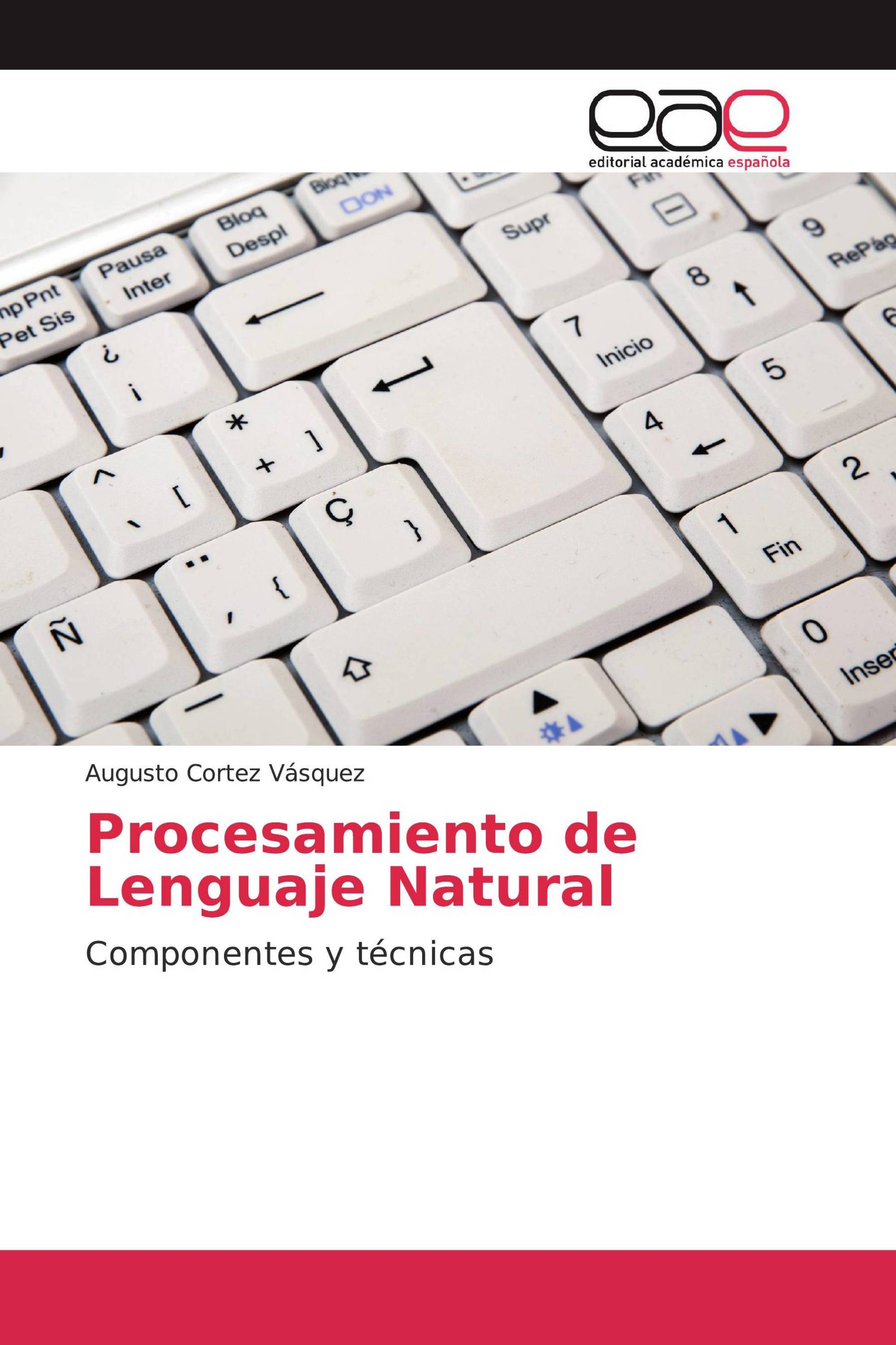 Procesamiento de Lenguaje Natural