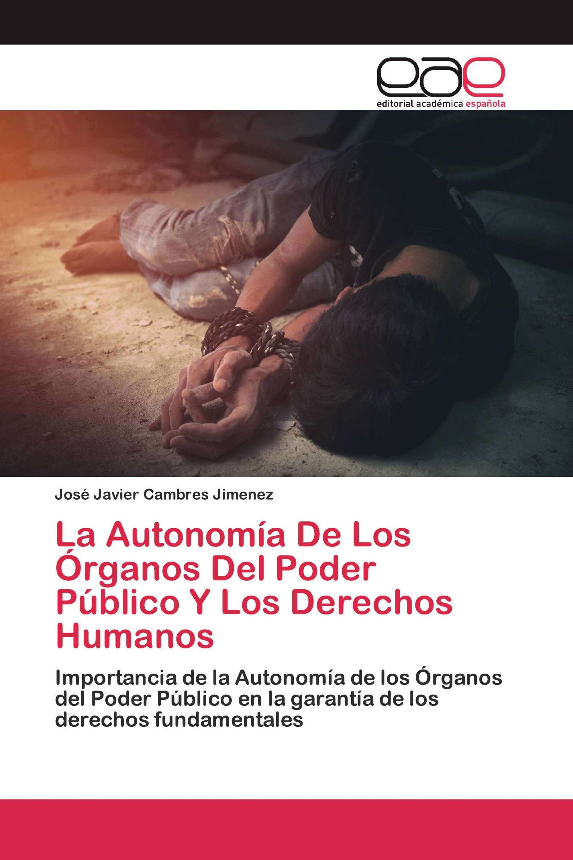 La Autonomía De Los Órganos Del Poder Público Y Los Derechos Humanos