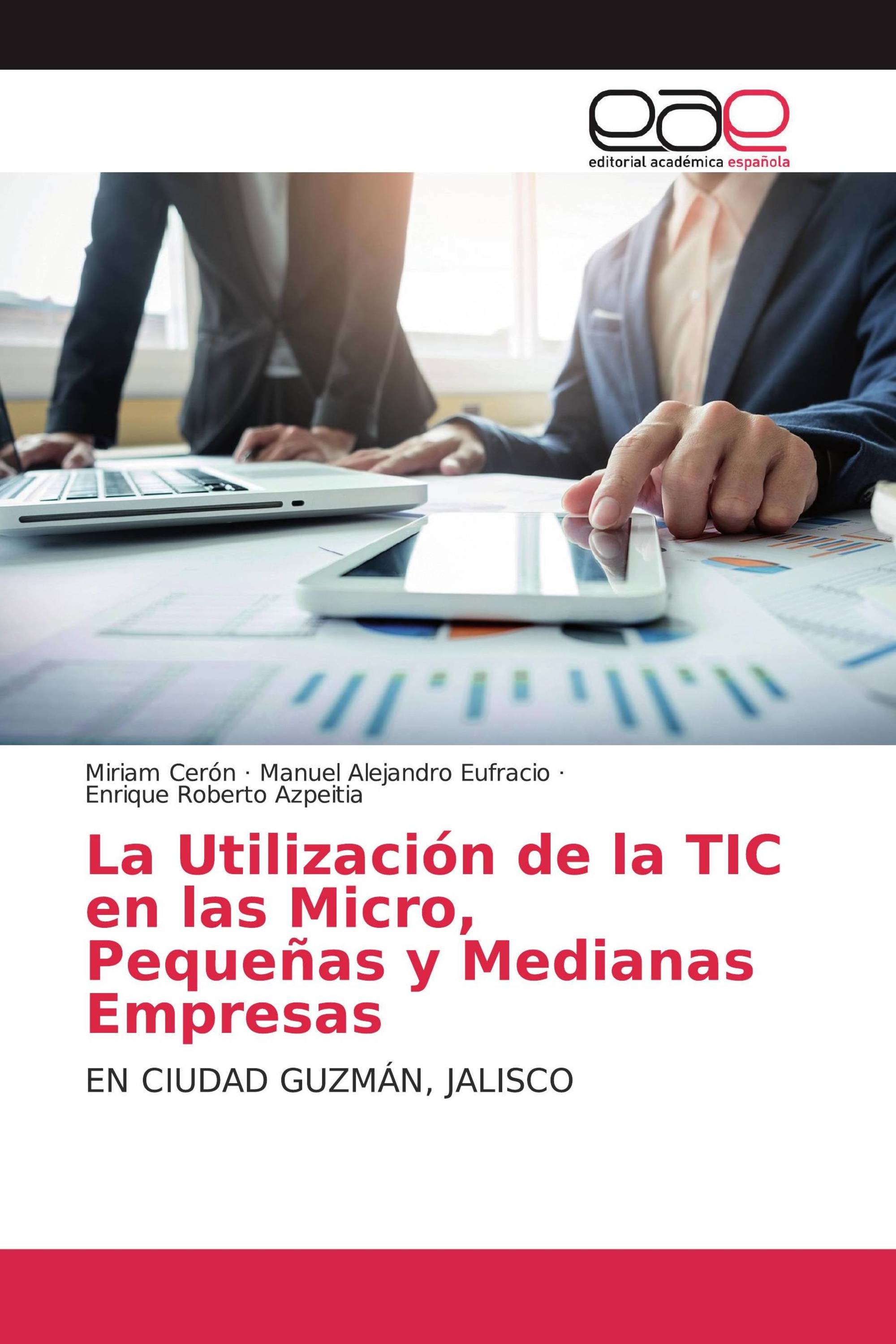 La Utilización de la TIC en las Micro, Pequeñas y Medianas Empresas