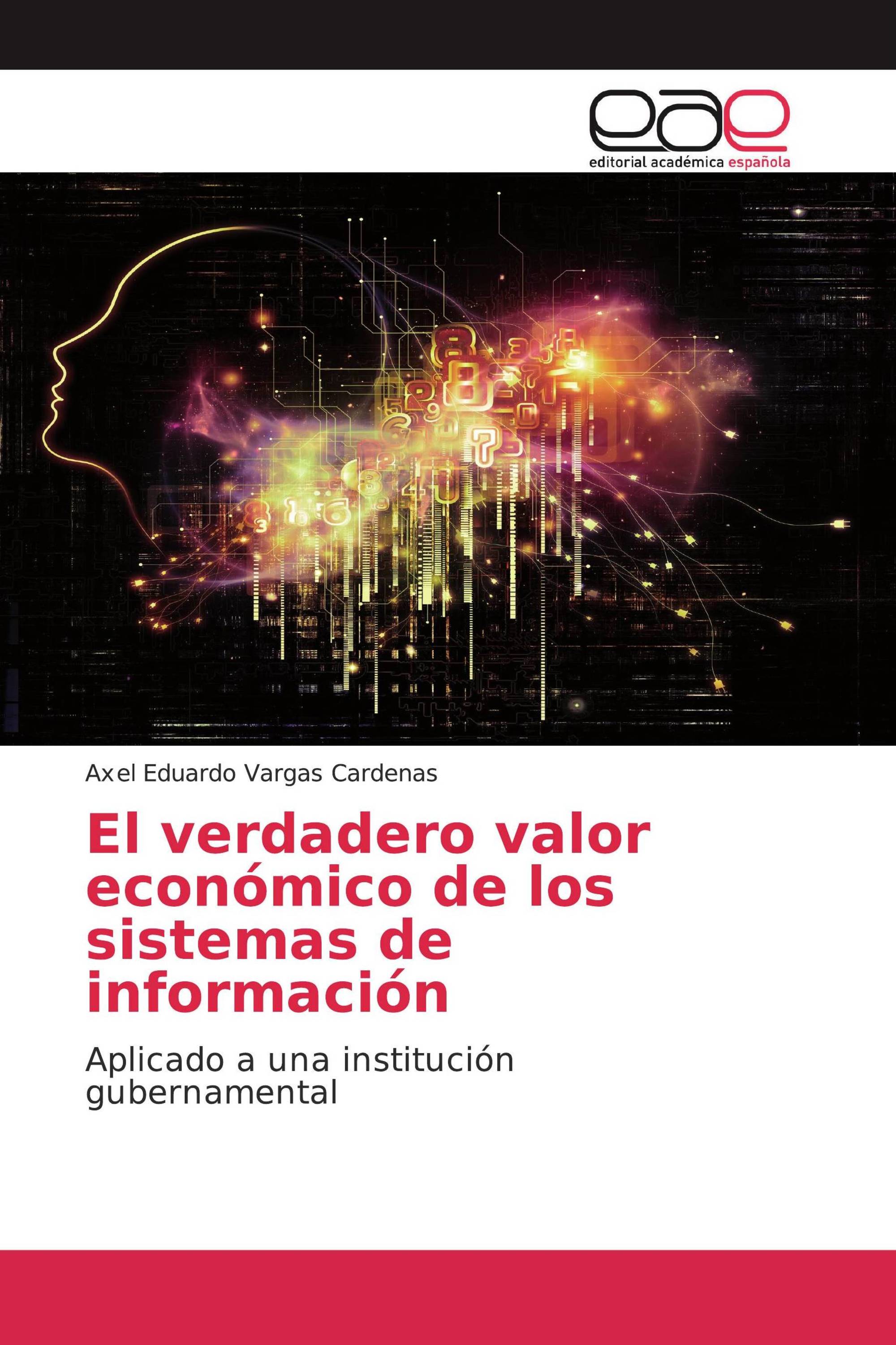 El verdadero valor económico de los sistemas de información