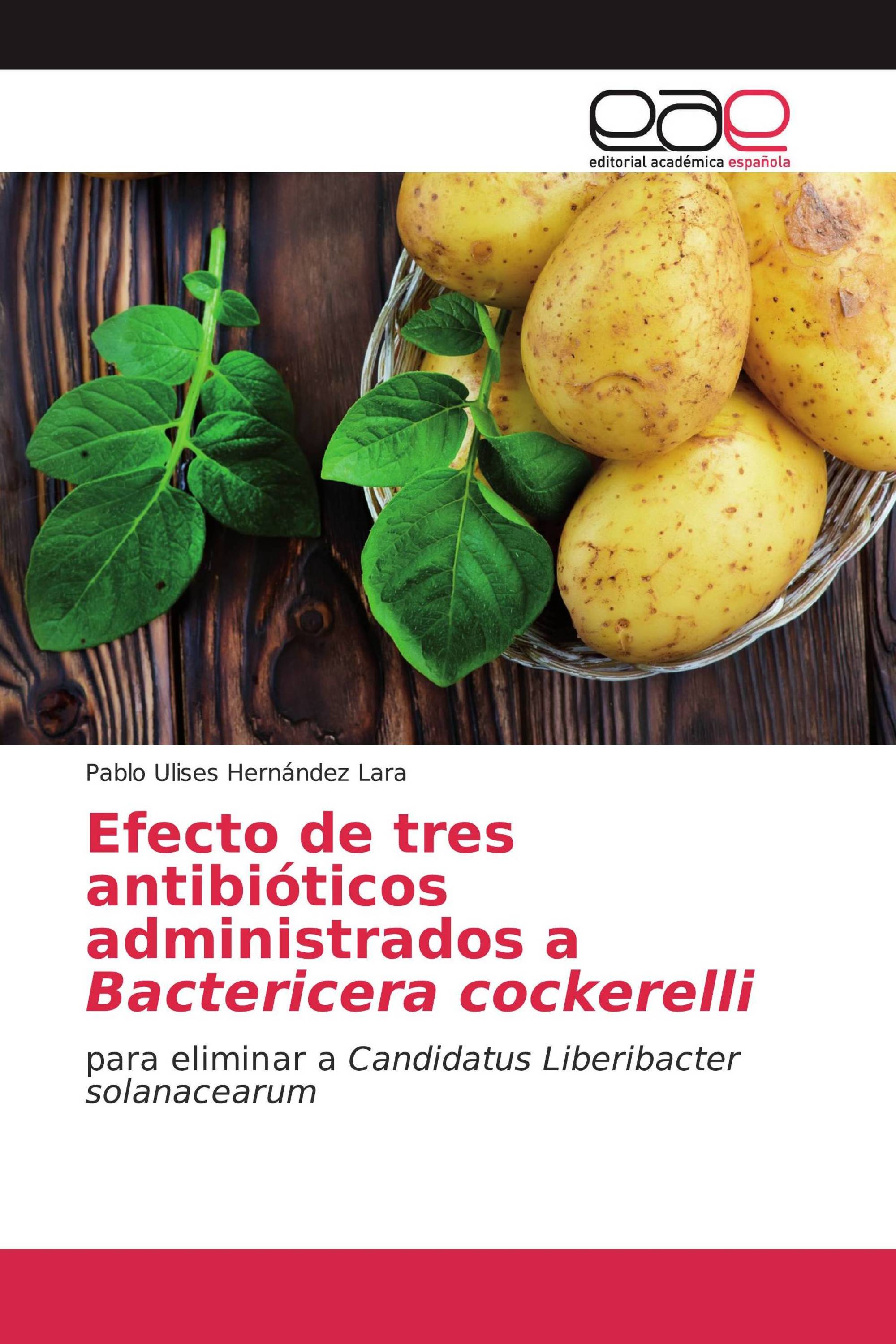 Efecto de tres antibióticos administrados a Bactericera cockerelli