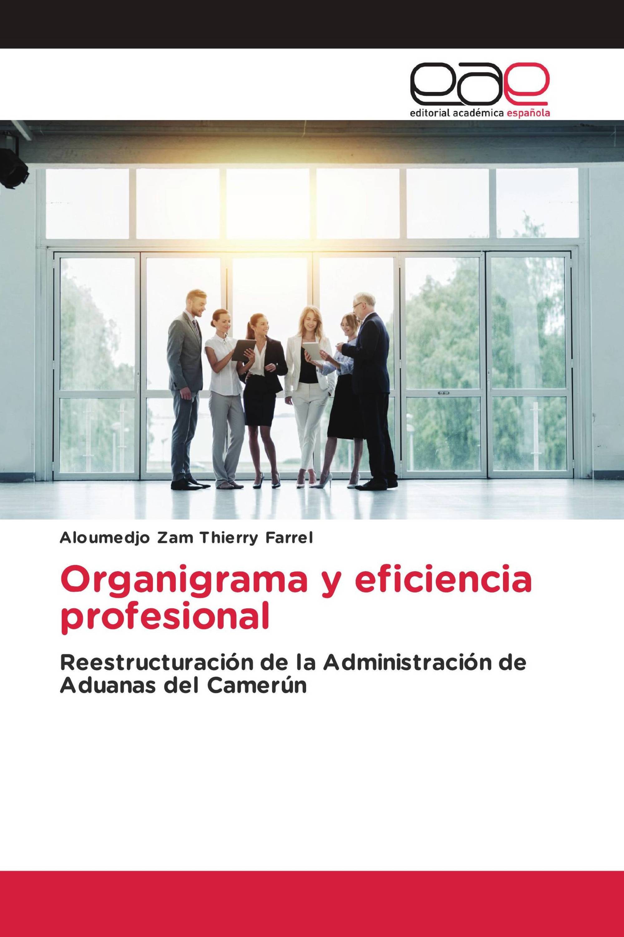 Organigrama y eficiencia profesional