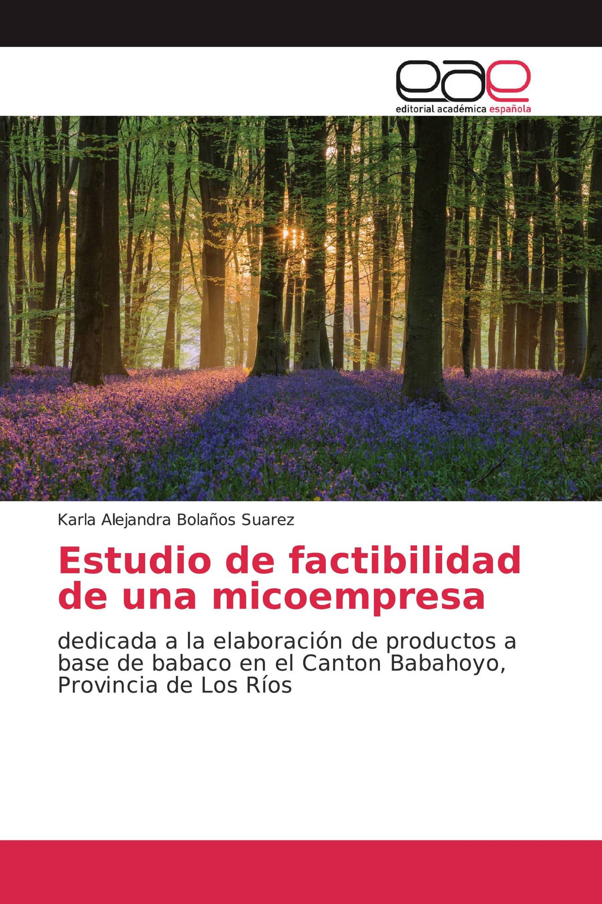 Estudio de factibilidad de una micoempresa