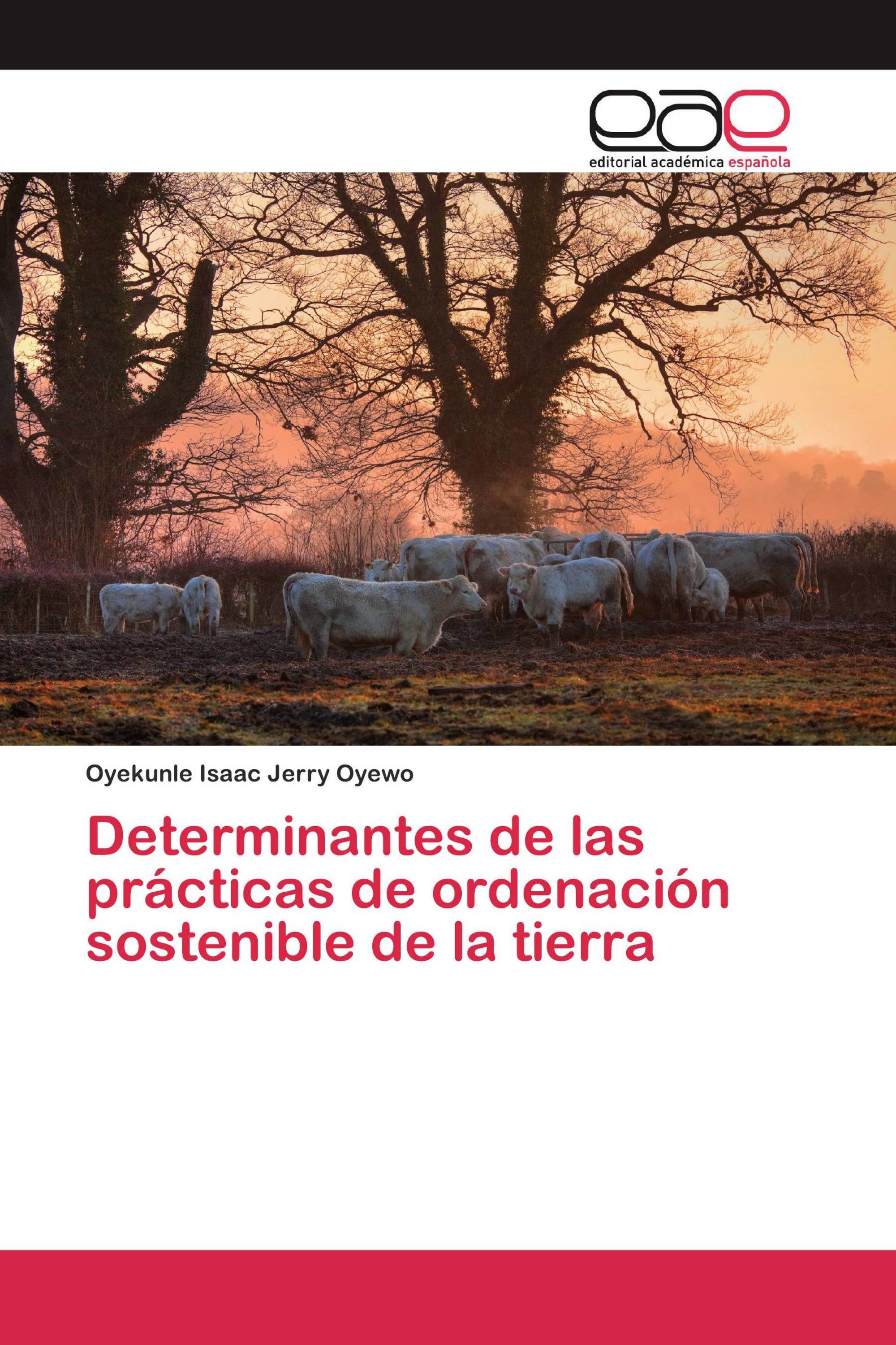 Determinantes de las prácticas de ordenación sostenible de la tierra