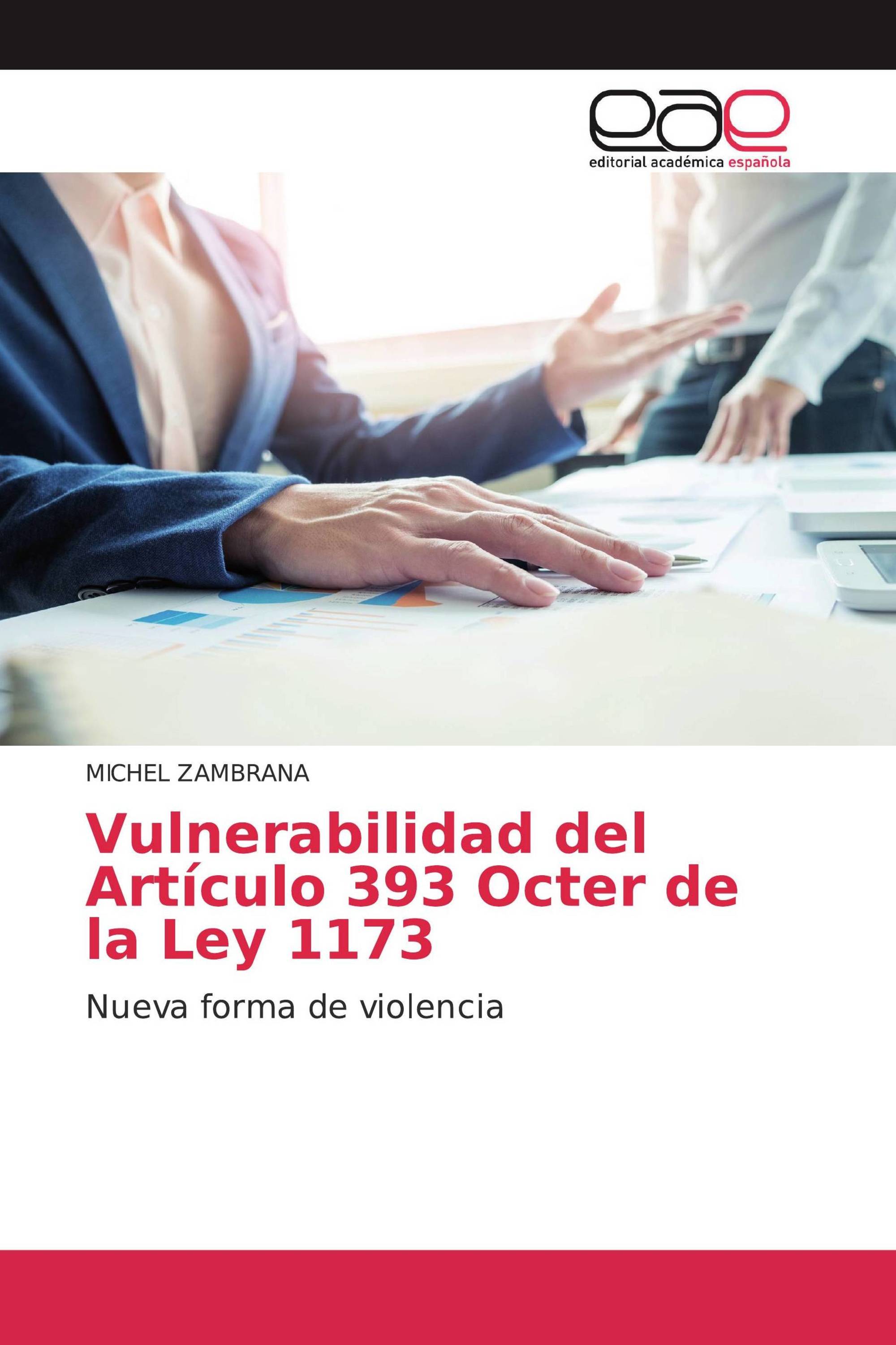 Vulnerabilidad del Artículo 393 Octer de la Ley 1173