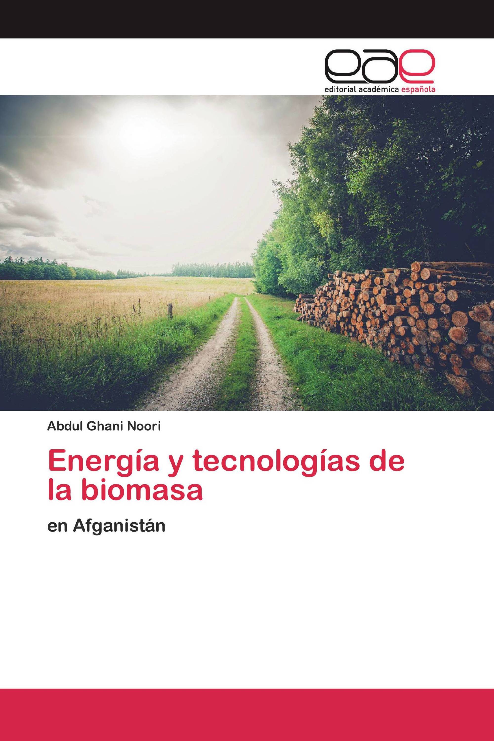 Energía y tecnologías de la biomasa