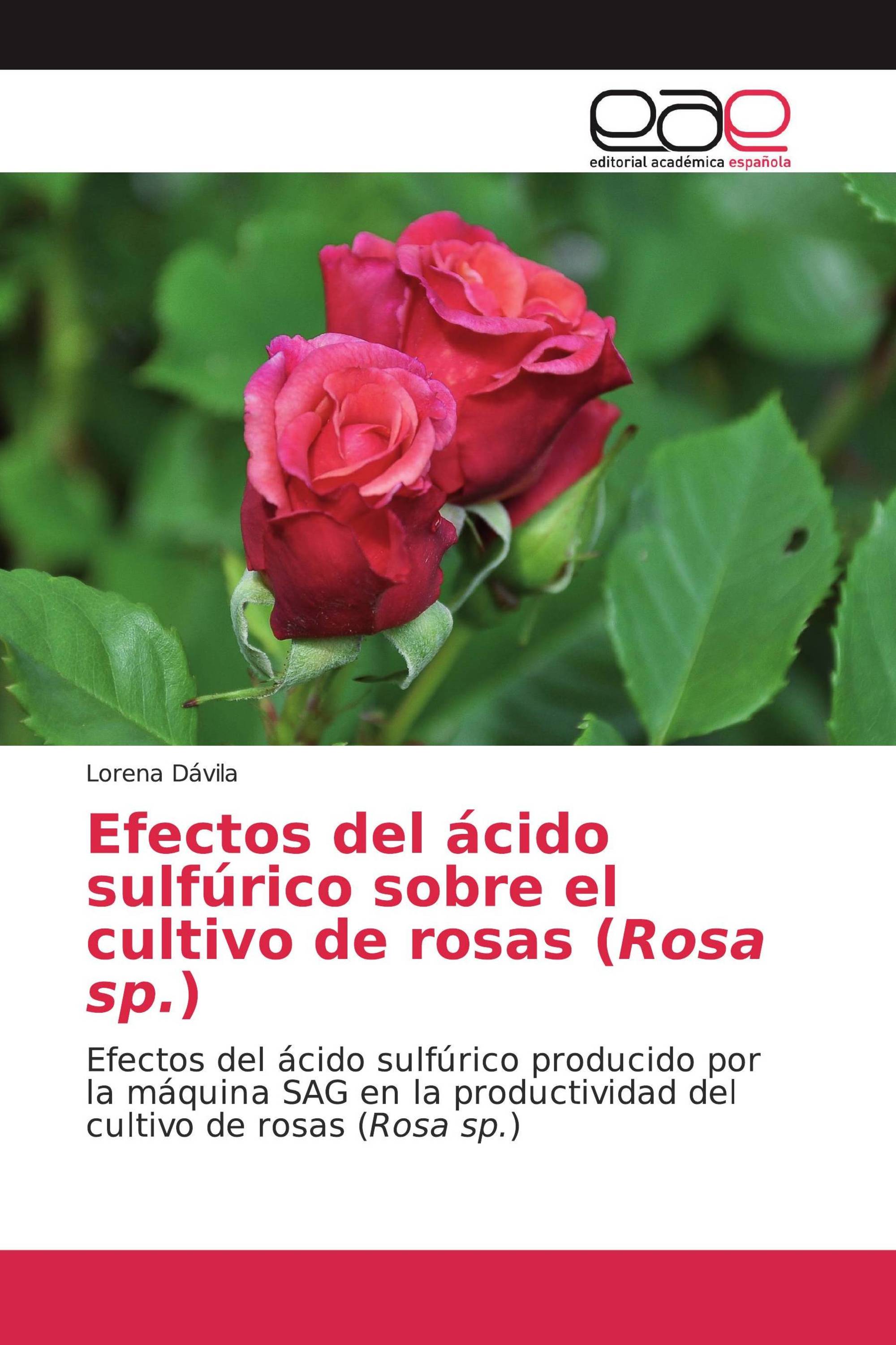 Efectos del ácido sulfúrico sobre el cultivo de rosas (Rosa sp.)