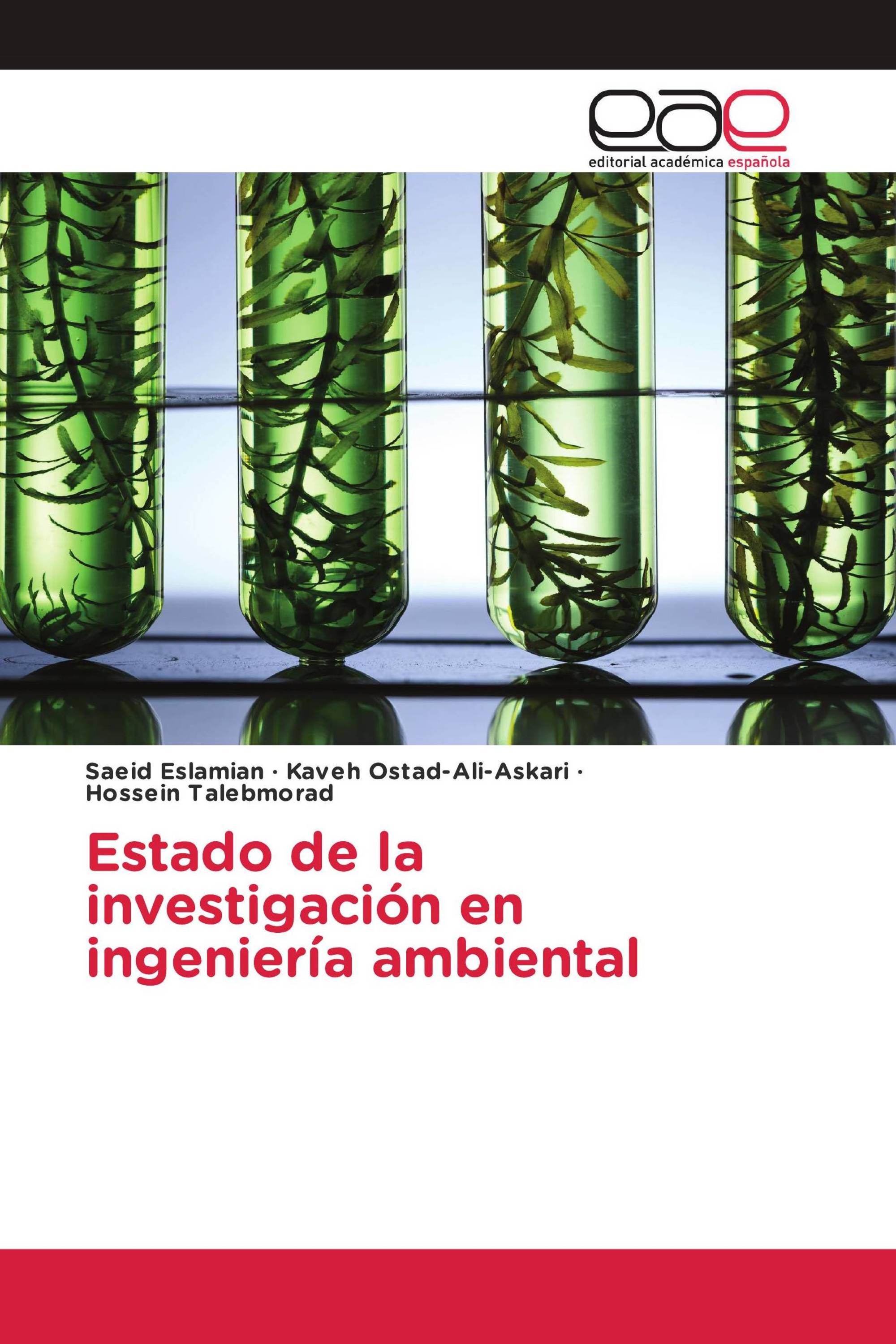 Estado de la investigación en ingeniería ambiental