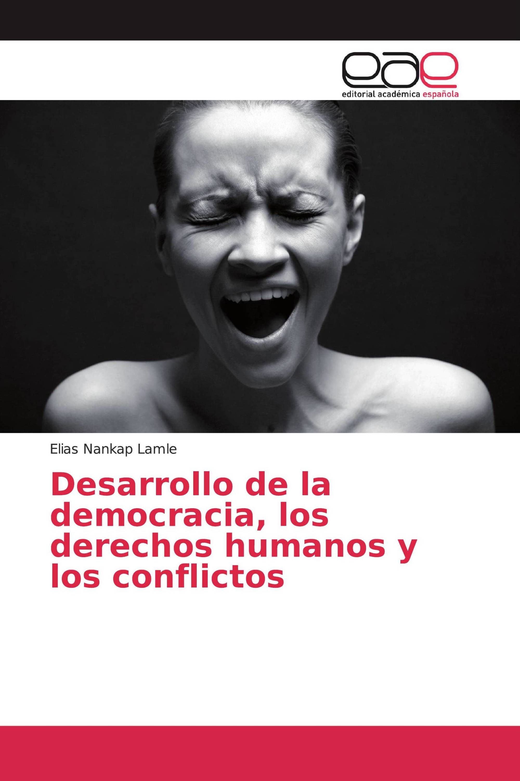 Desarrollo de la democracia, los derechos humanos y los conflictos