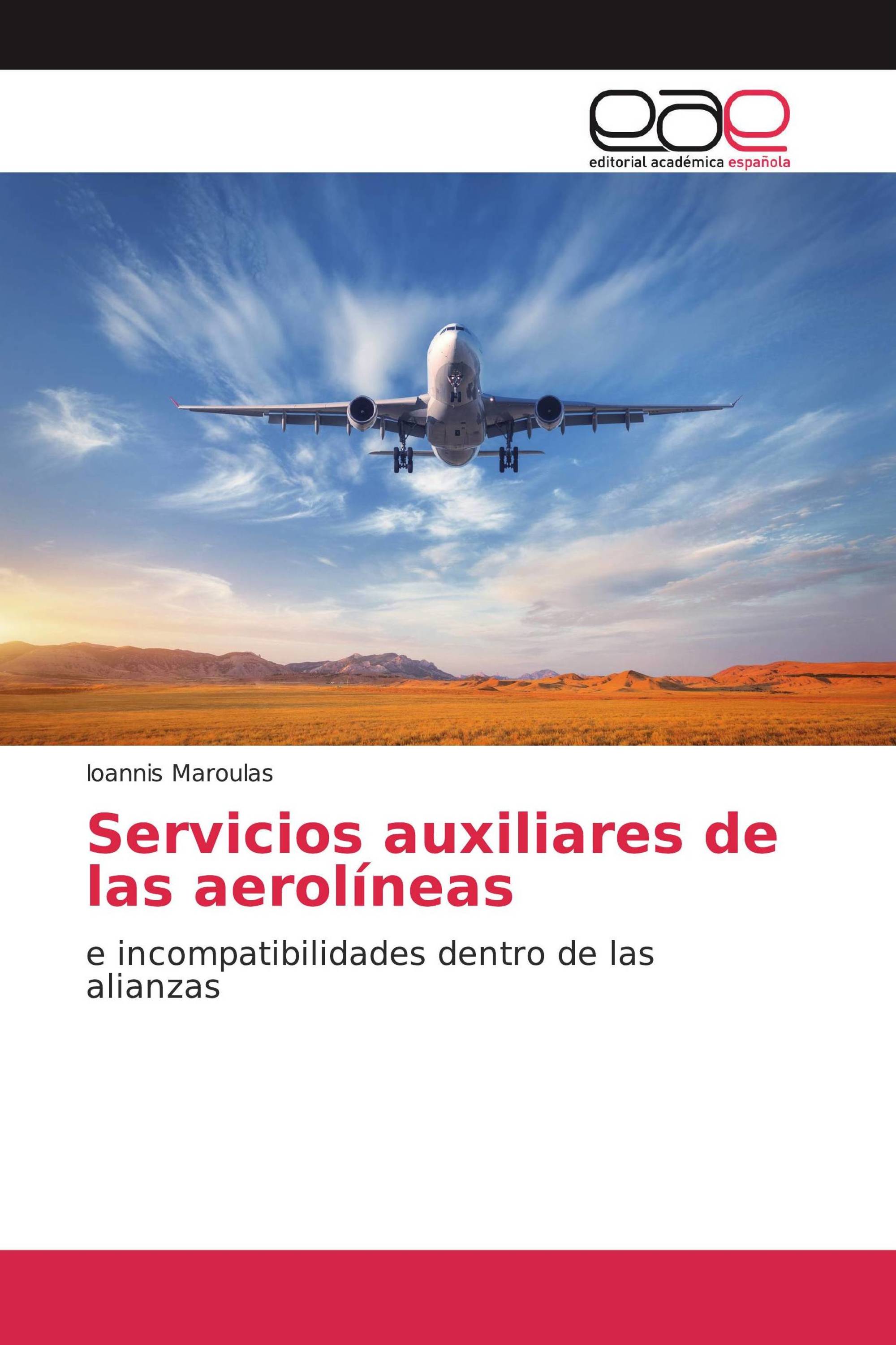 Servicios auxiliares de las aerolíneas