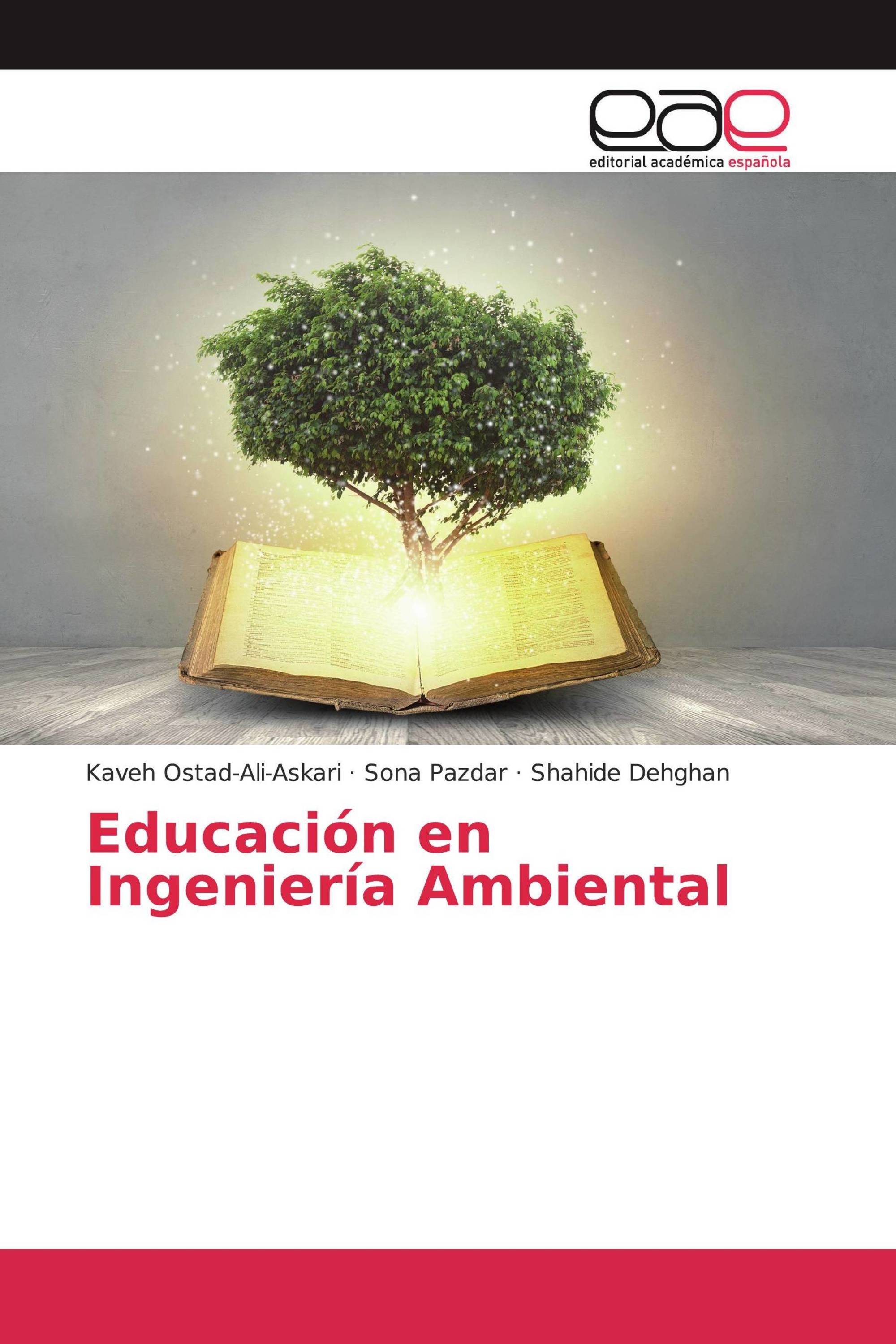 Educación en Ingeniería Ambiental