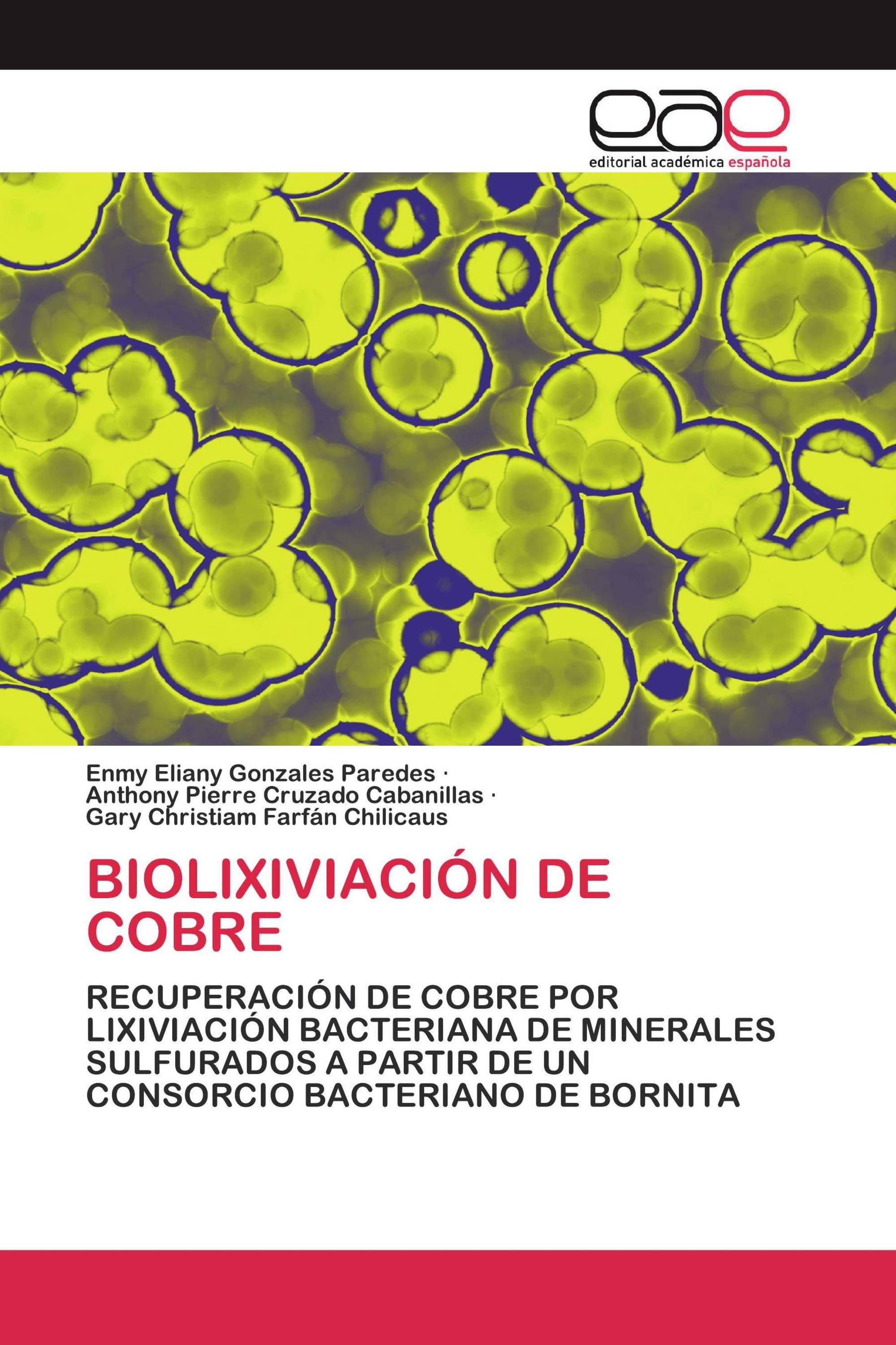 BIOLIXIVIACIÓN DE COBRE