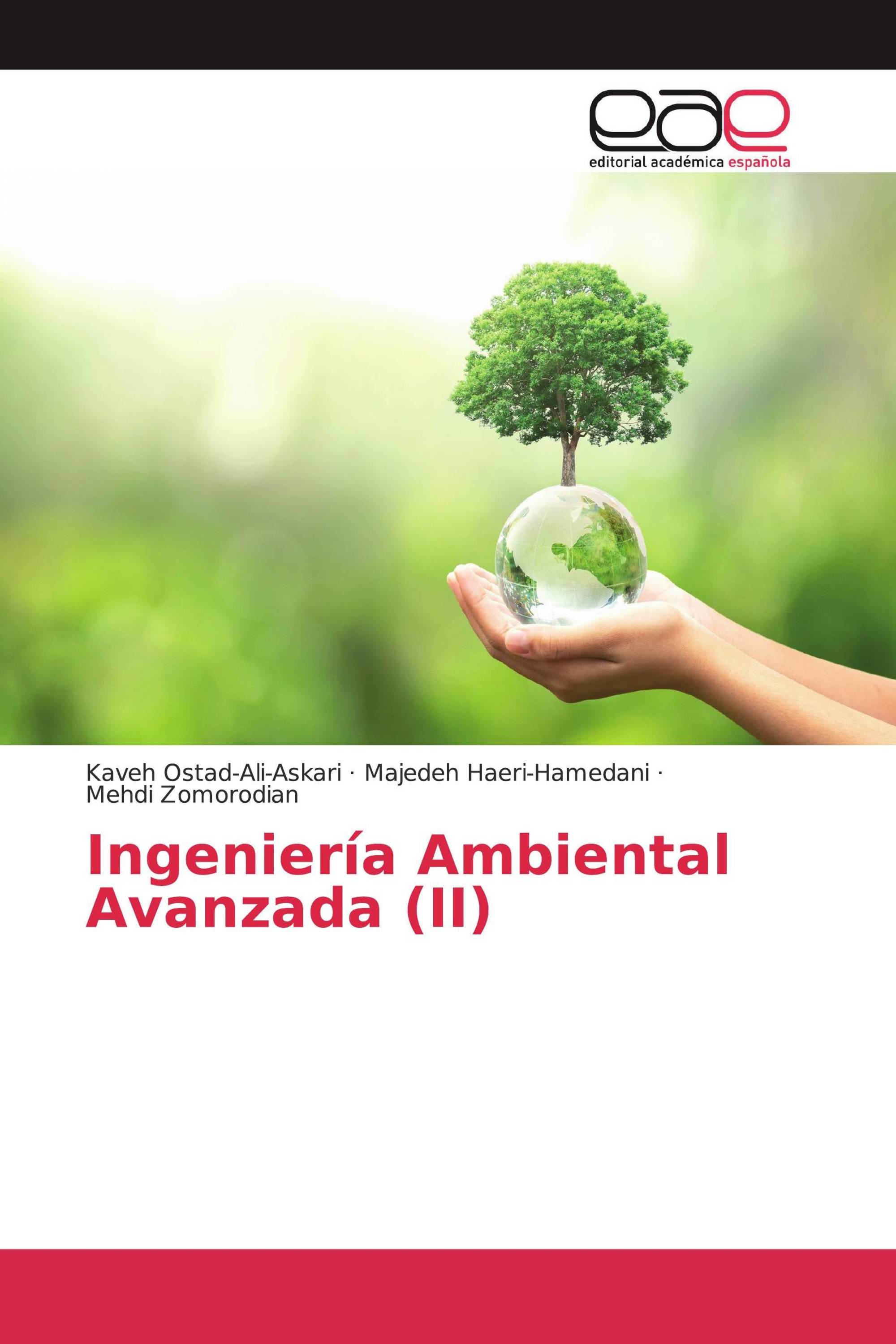 Ingeniería Ambiental Avanzada (II)