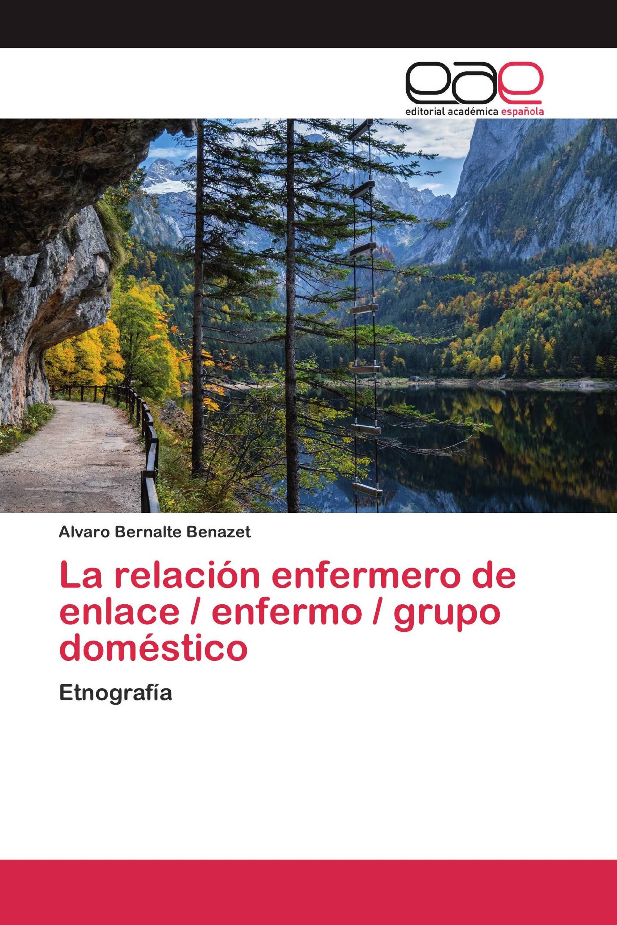 La relación enfermero de enlace / enfermo / grupo doméstico