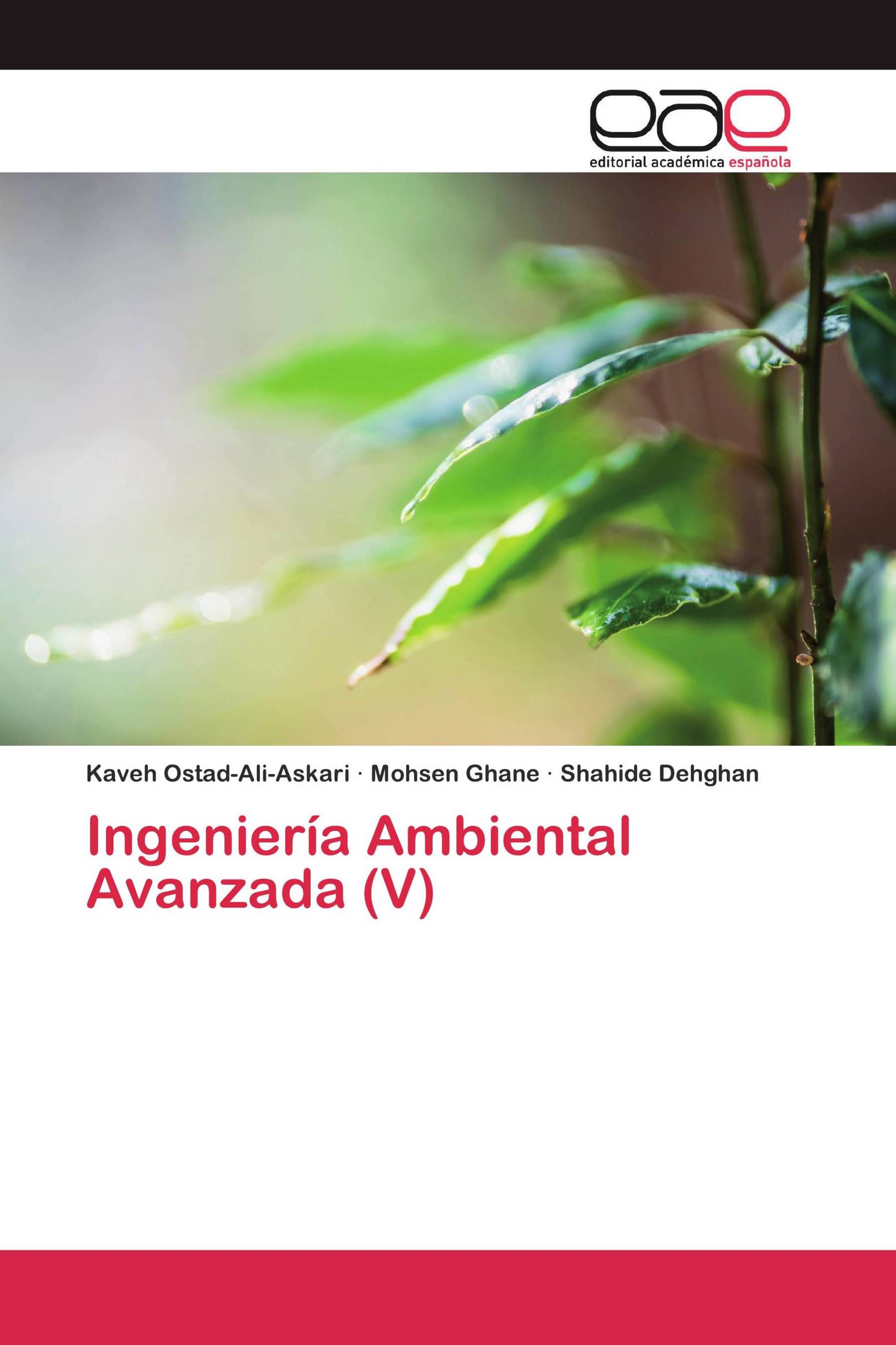 Ingeniería Ambiental Avanzada (V)