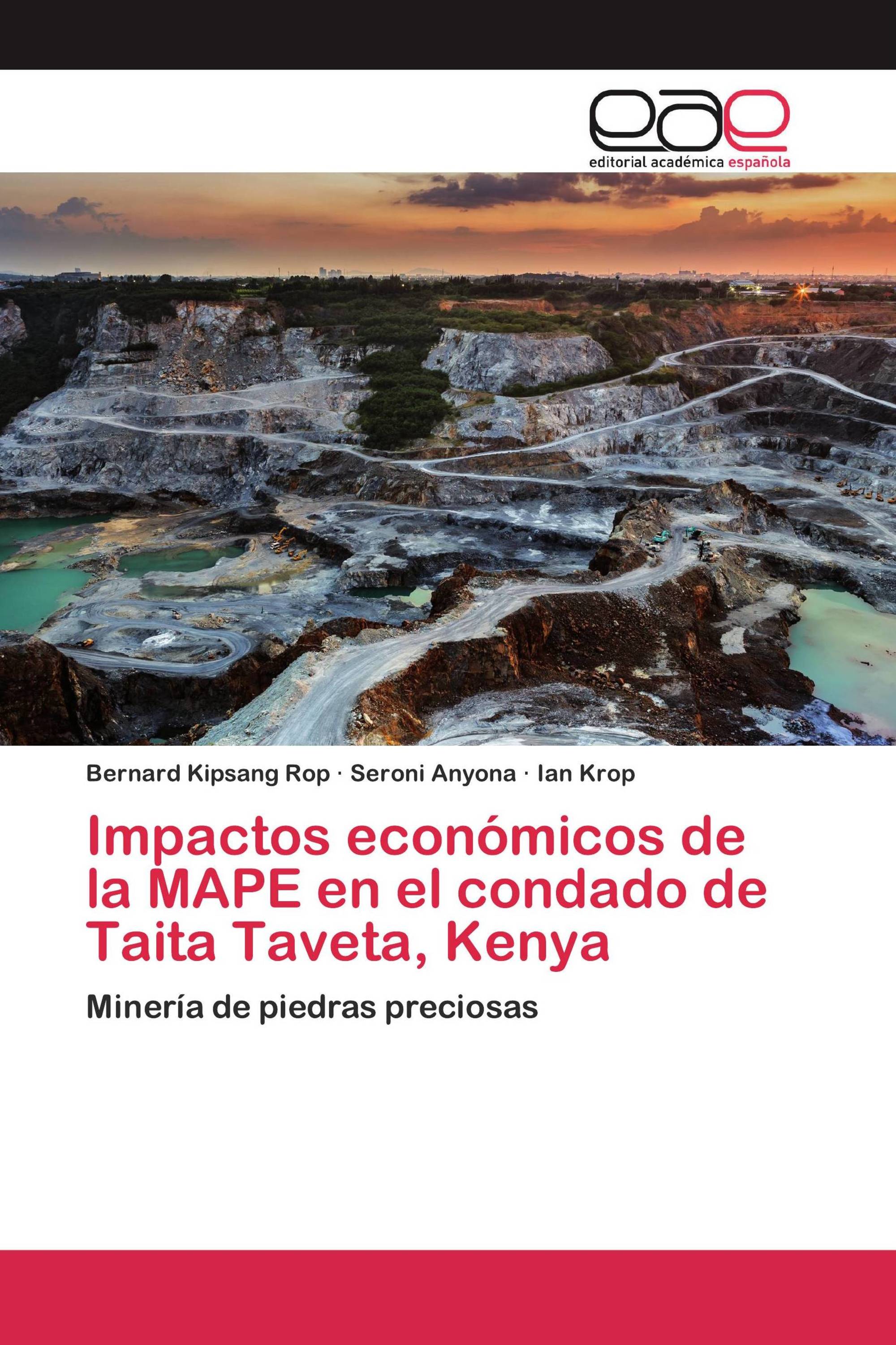 Impactos económicos de la MAPE en el condado de Taita Taveta, Kenya