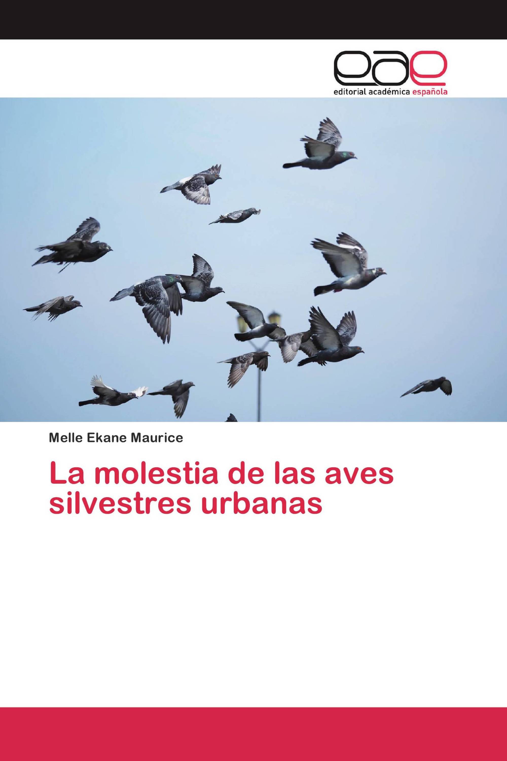 La molestia de las aves silvestres urbanas