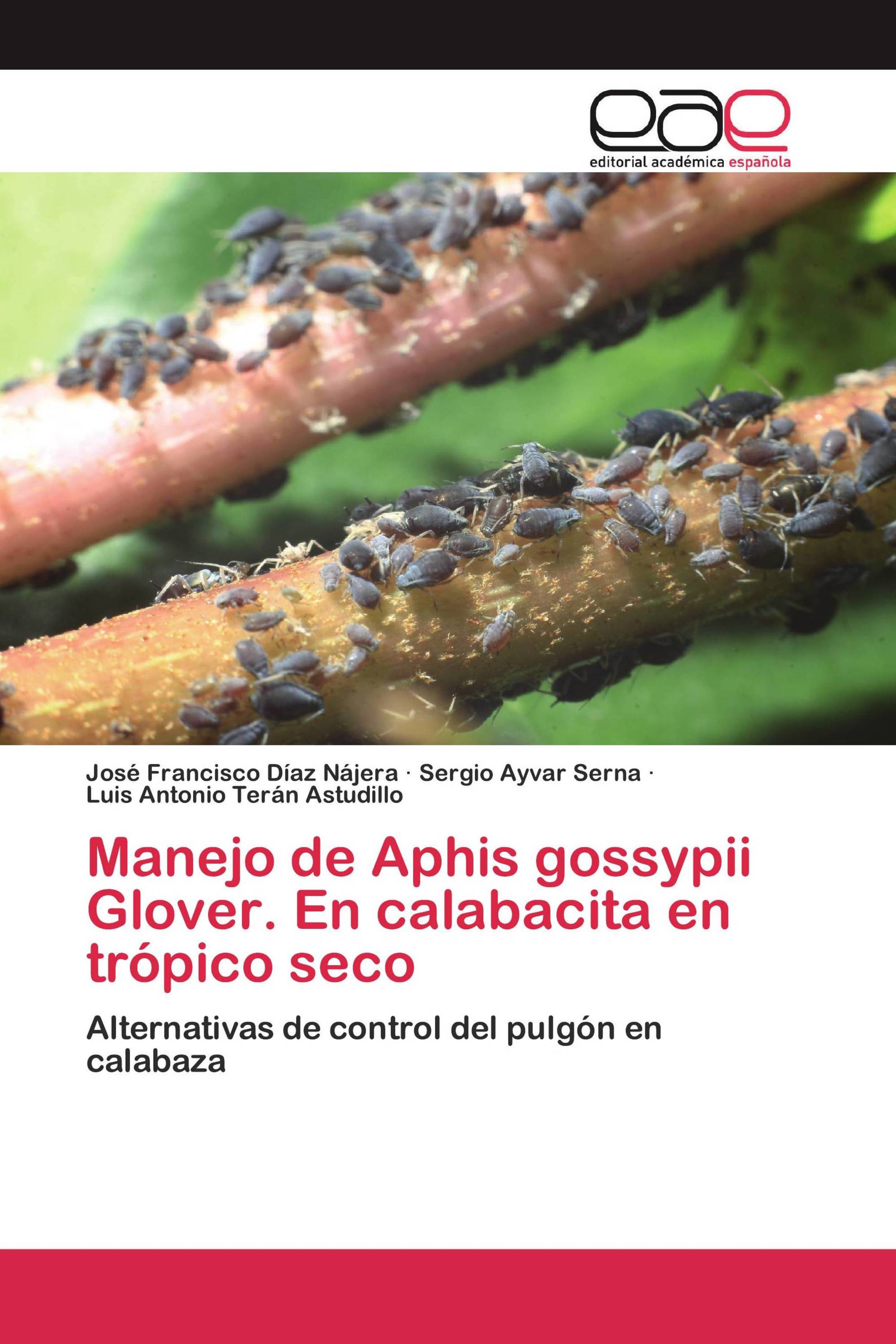 Manejo de Aphis gossypii Glover. En calabacita en trópico seco