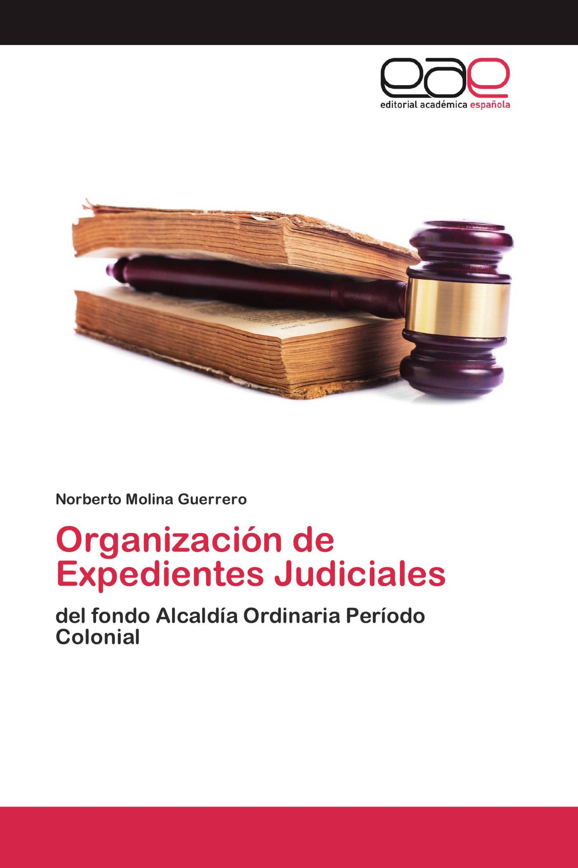 Organización de Expedientes Judiciales