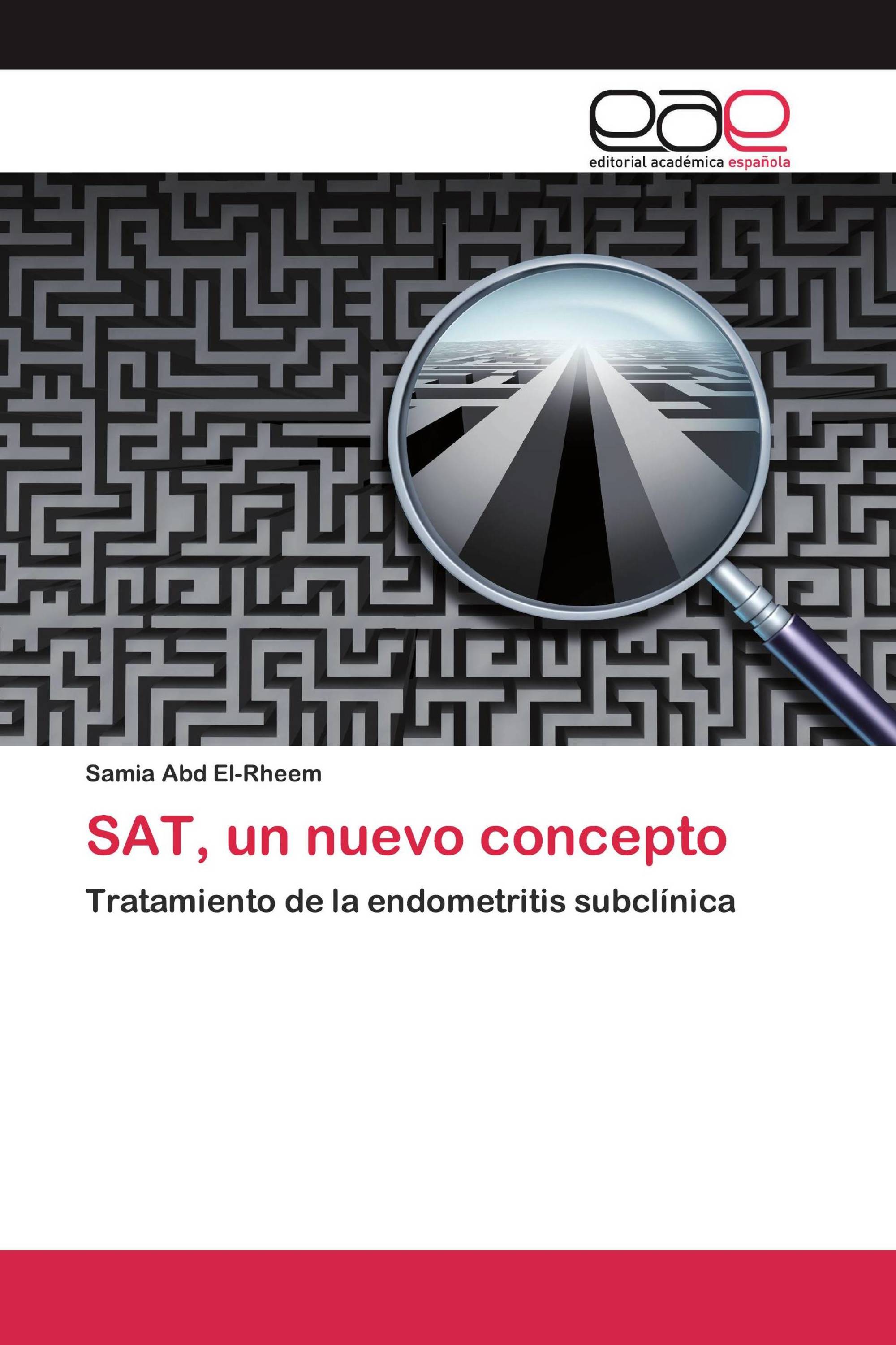 SAT, un nuevo concepto