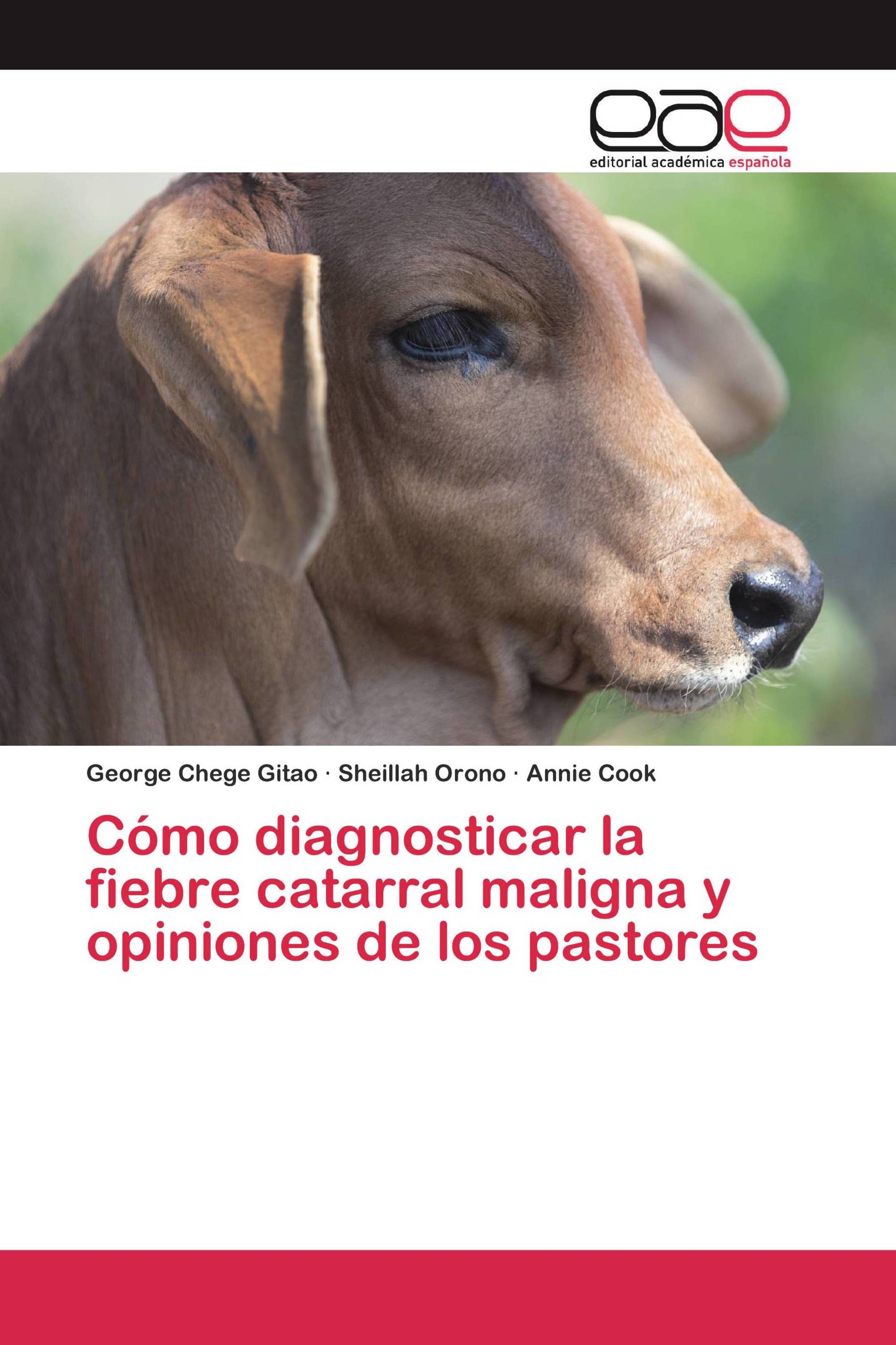 Cómo diagnosticar la fiebre catarral maligna y opiniones de los pastores