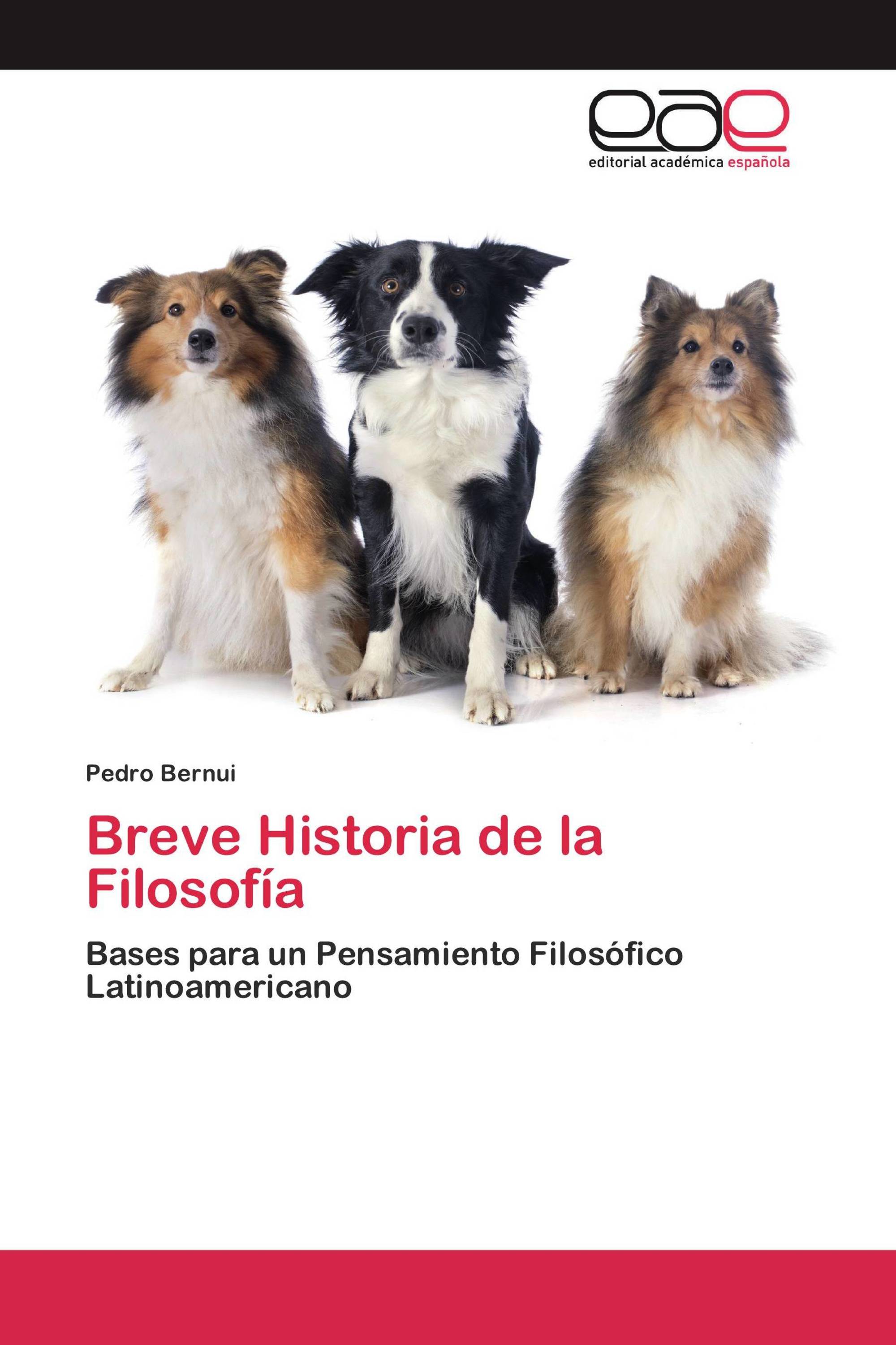 Breve Historia de la Filosofía