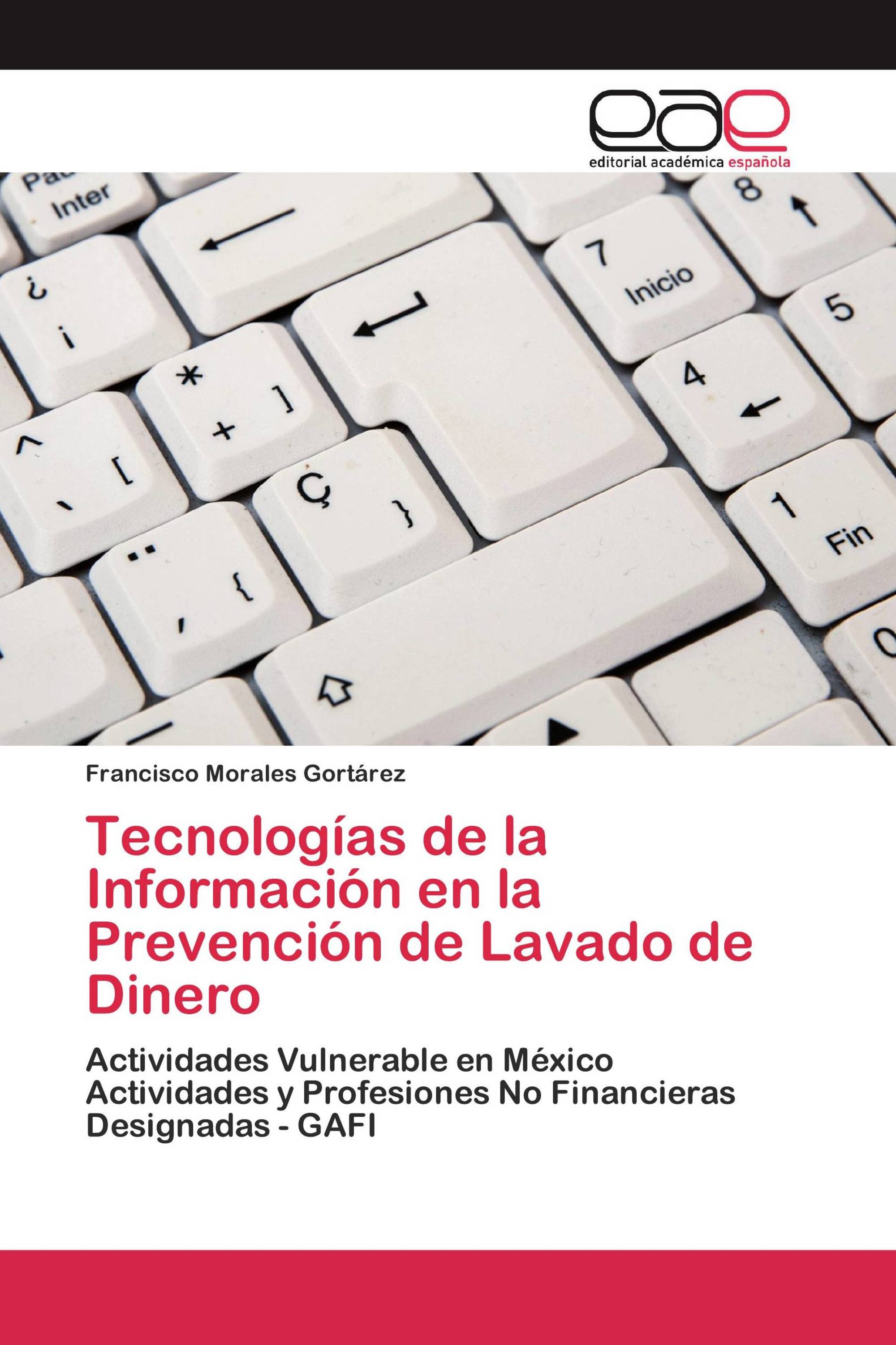 Tecnologías de la Información en la Prevención de Lavado de Dinero