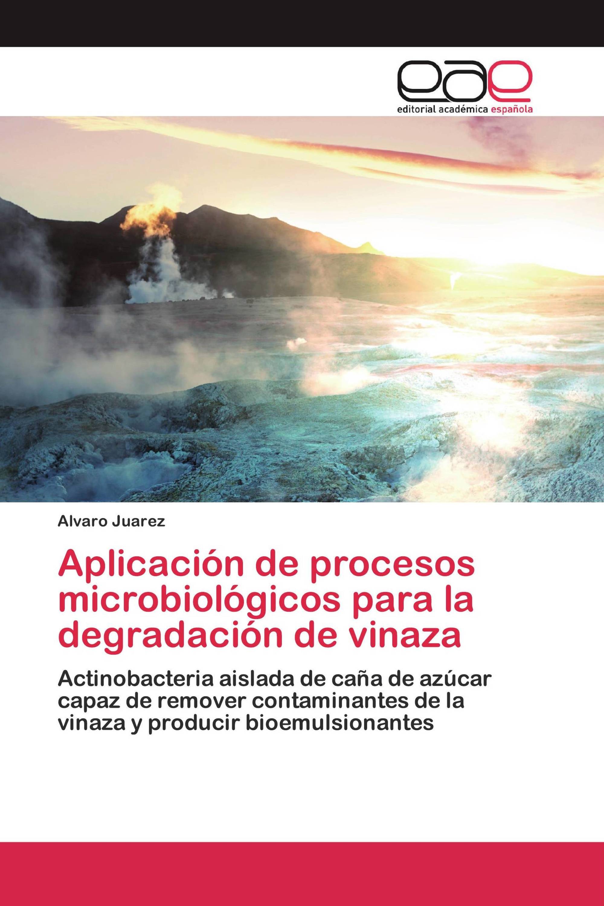 Aplicación de procesos microbiológicos para la degradación de vinaza