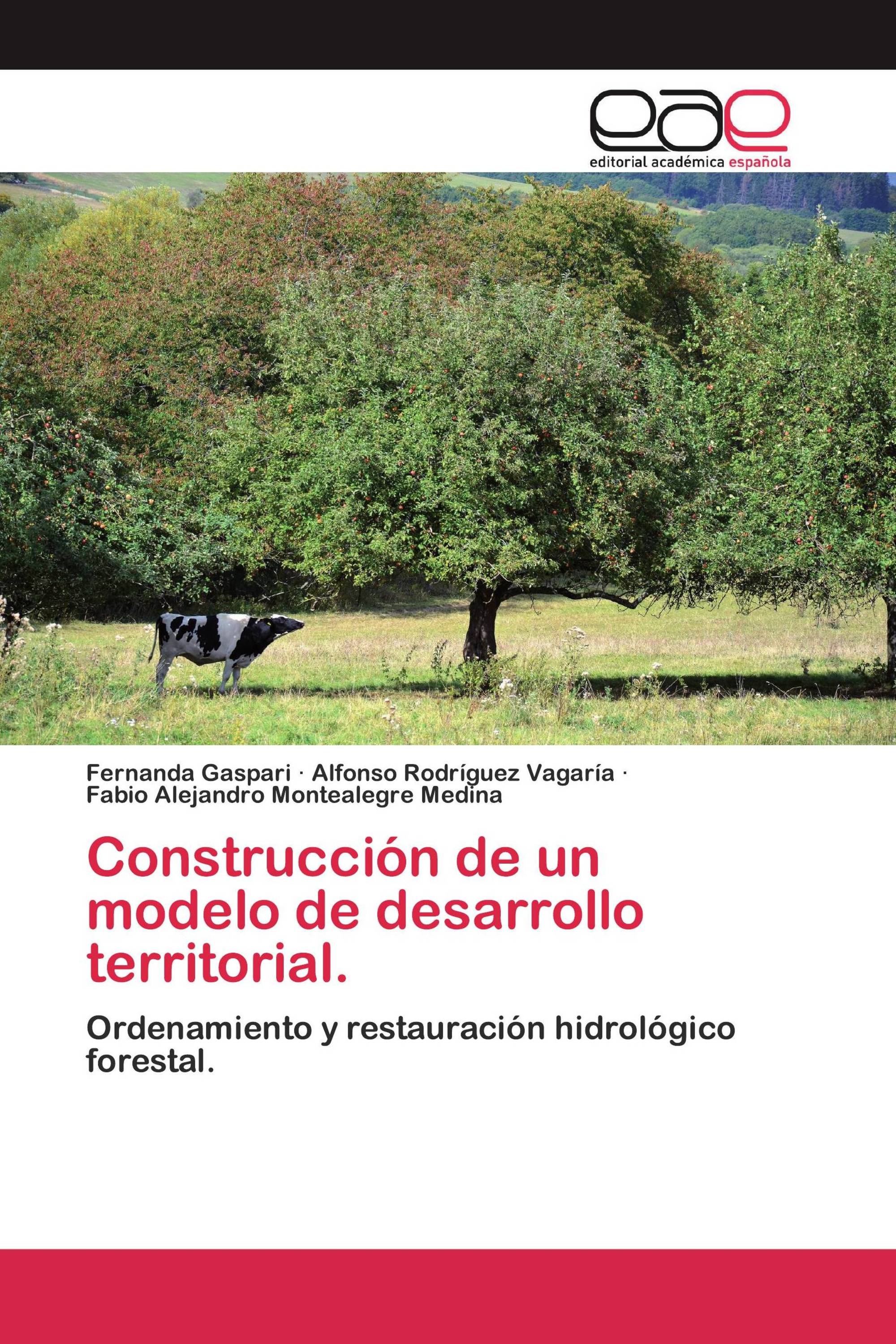 Construcción de un modelo de desarrollo territorial.