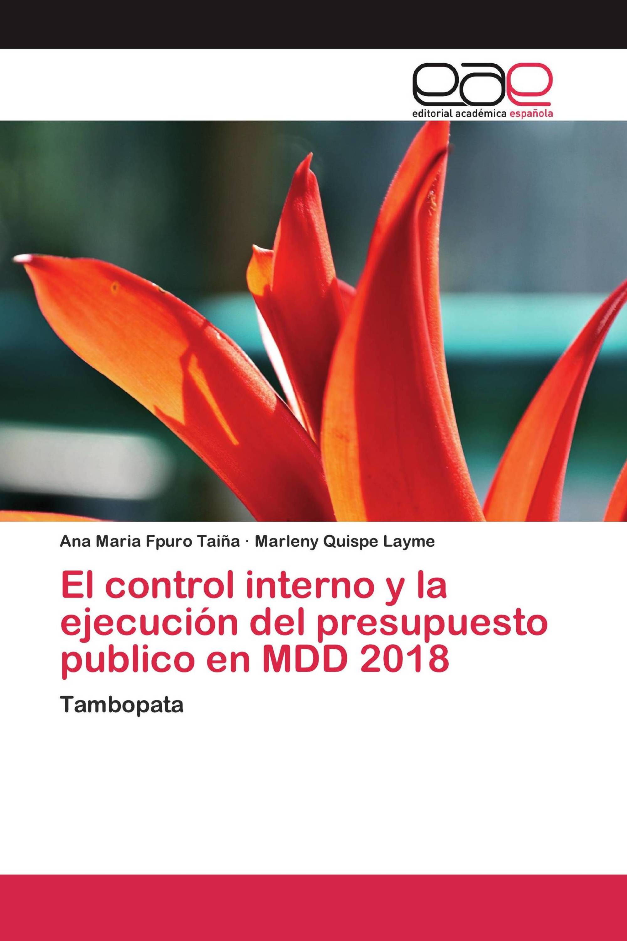 El control interno y la ejecución del presupuesto publico en MDD 2018