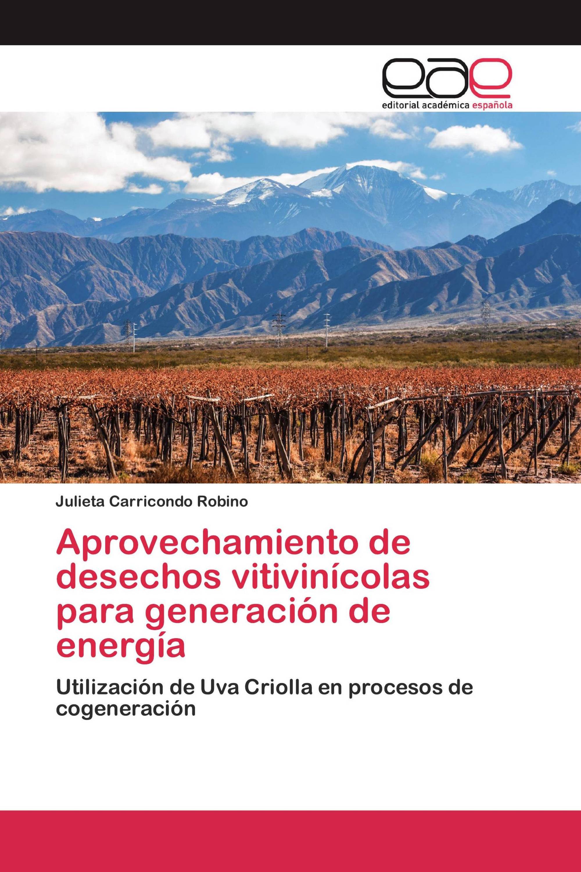 Aprovechamiento de desechos vitivinícolas para generación de energía