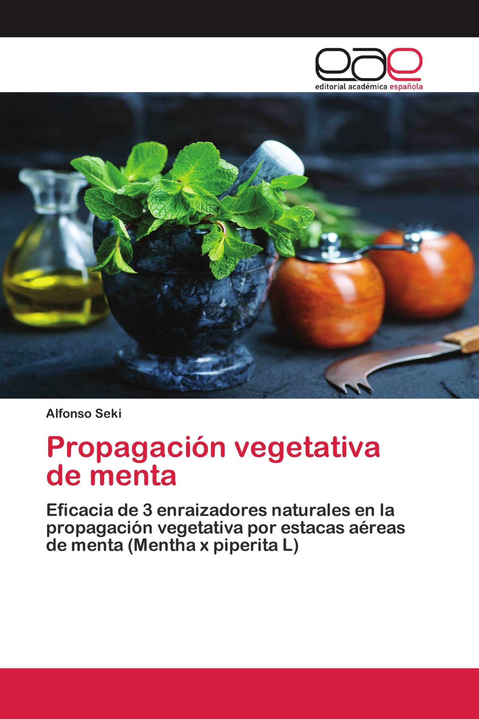 Propagación vegetativa de menta