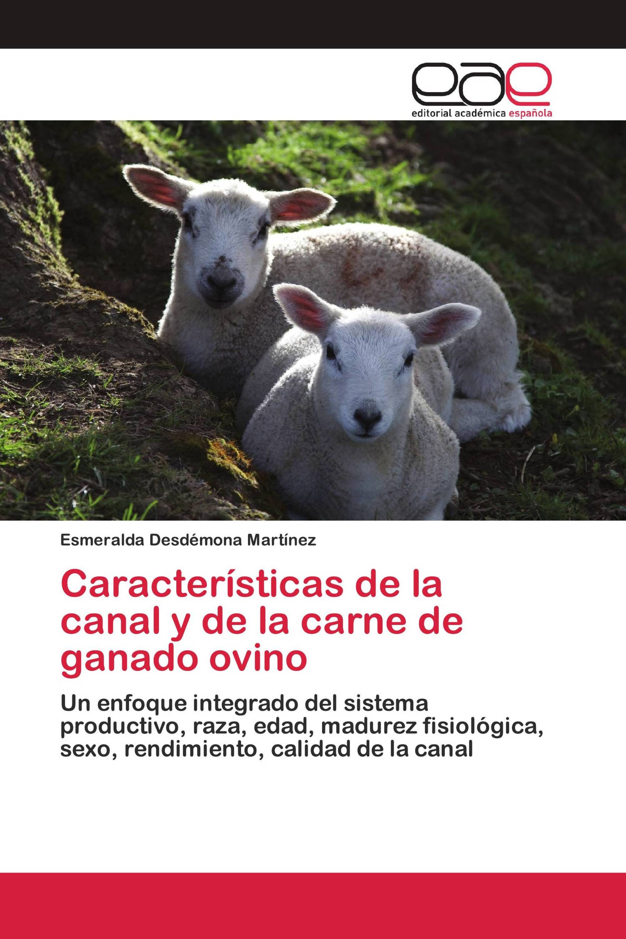 Características de la canal y de la carne de ganado ovino